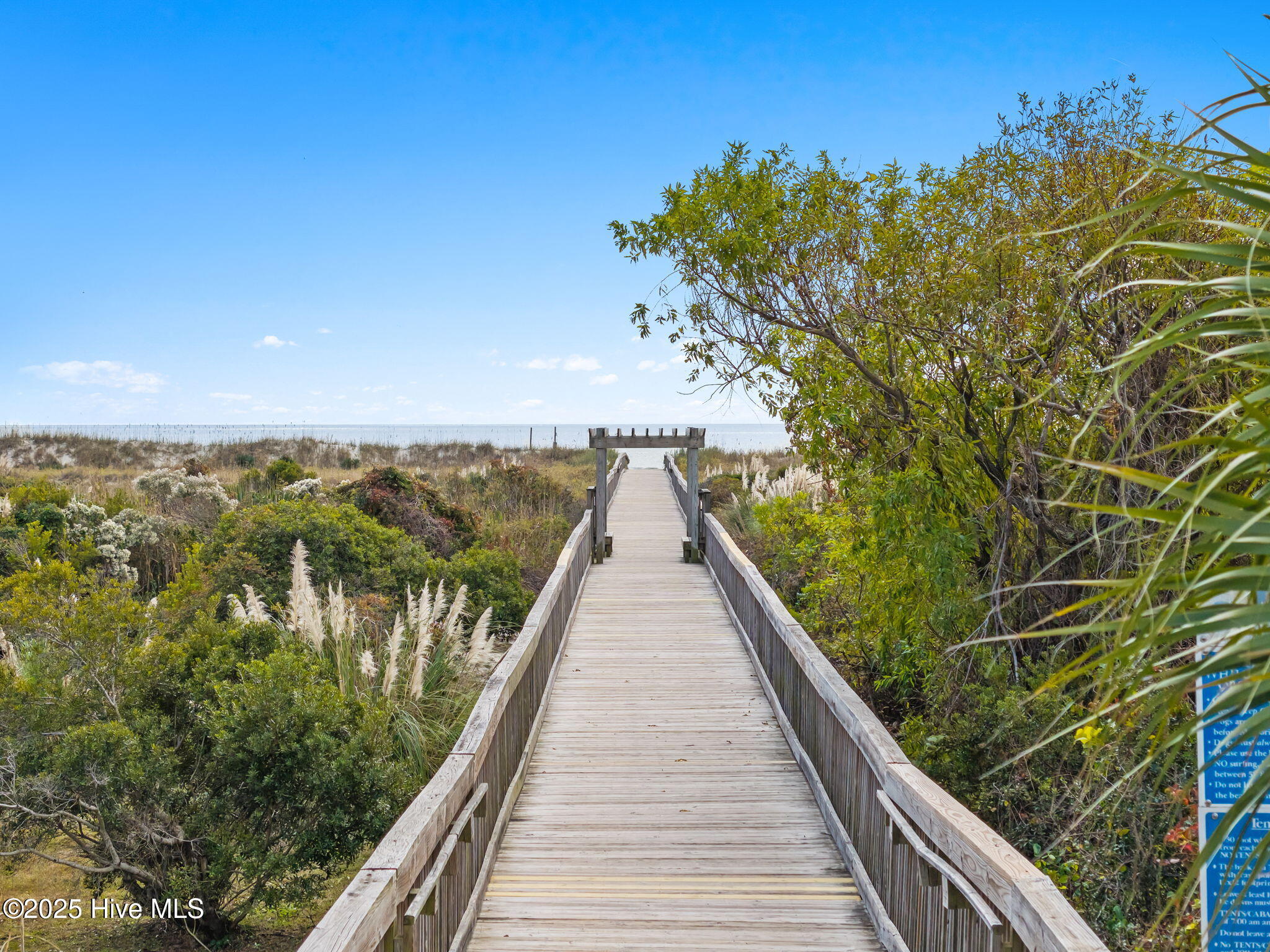 100542339 | Photo 14