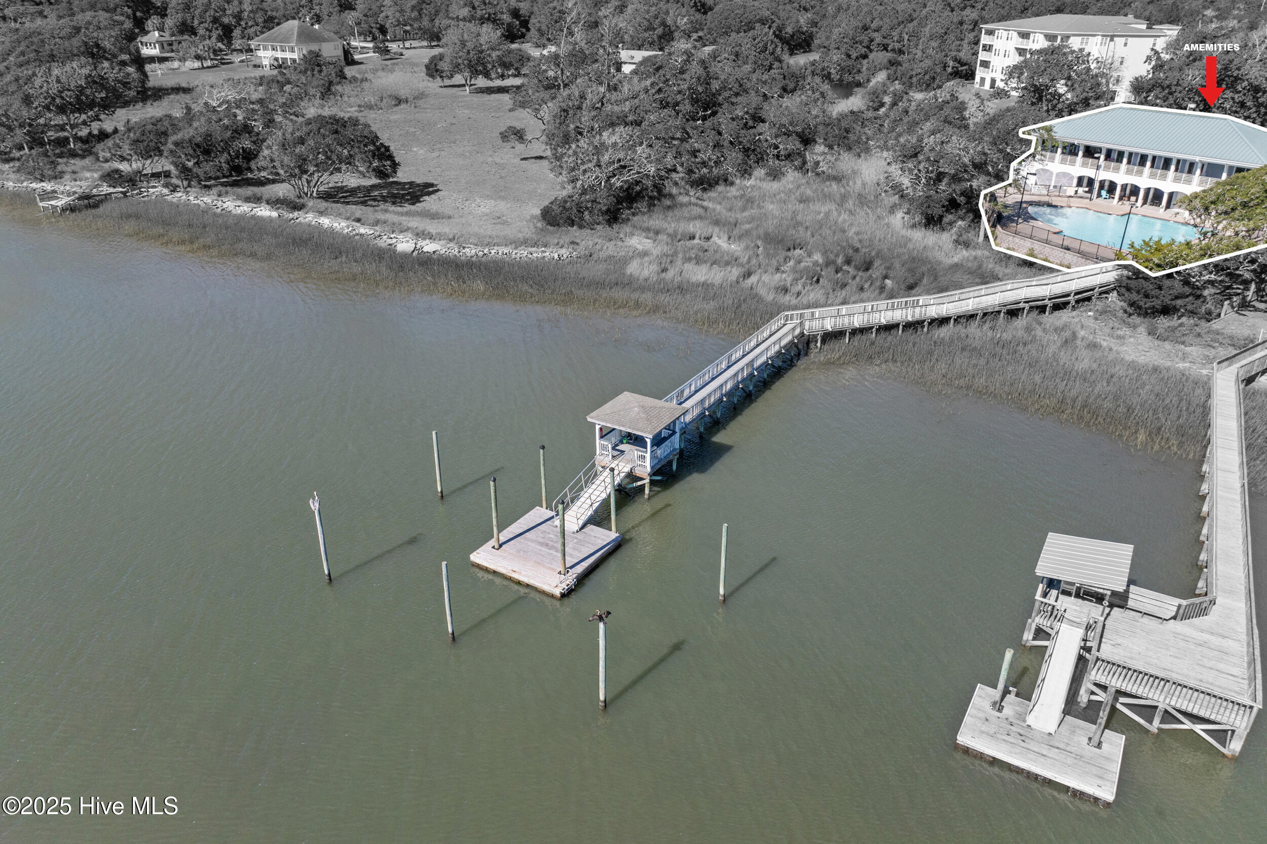 100539009 | Photo 48