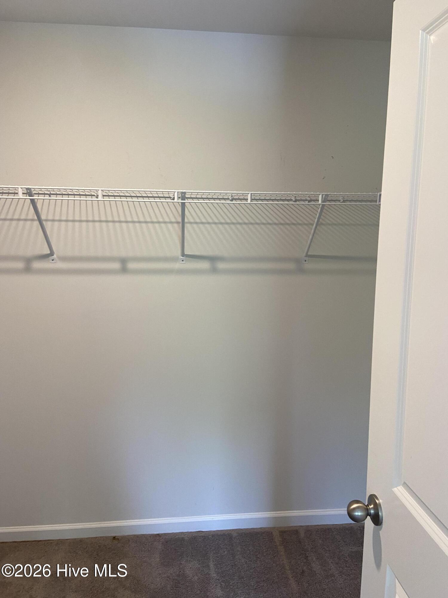 100561980 | Photo 24