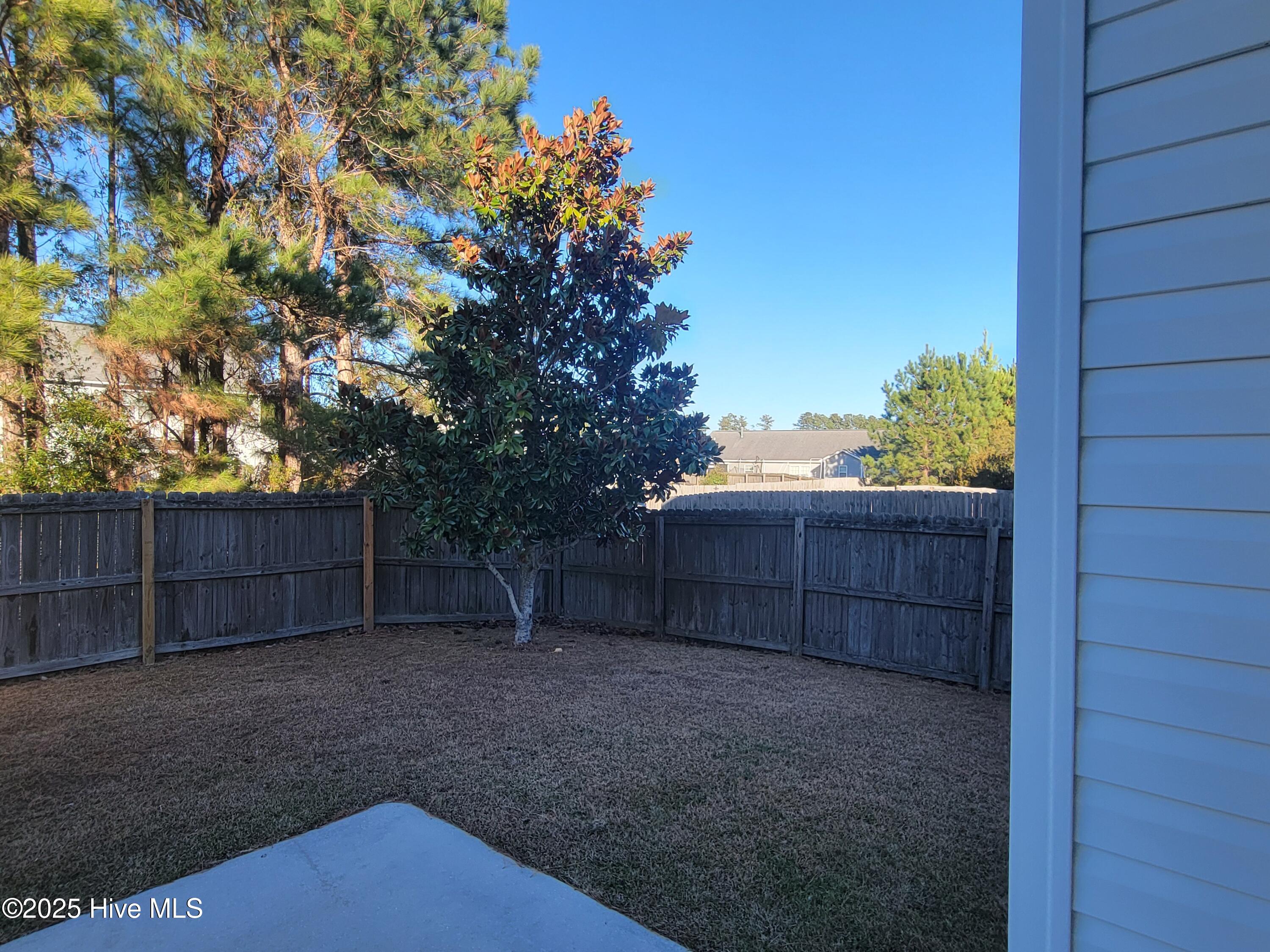 100537987 | Photo 23