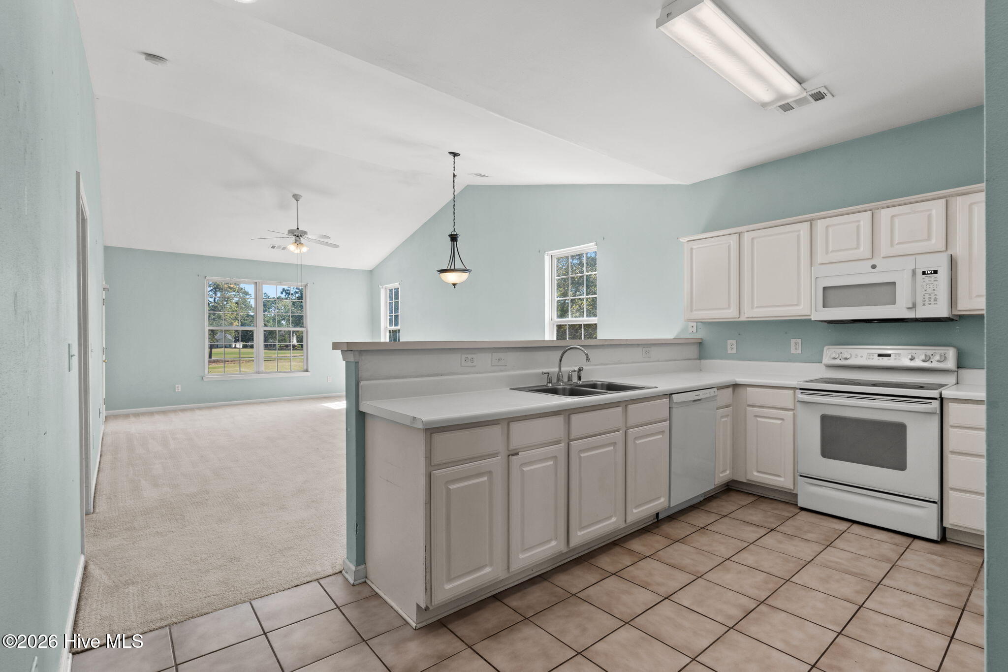 100569221 | Photo 11