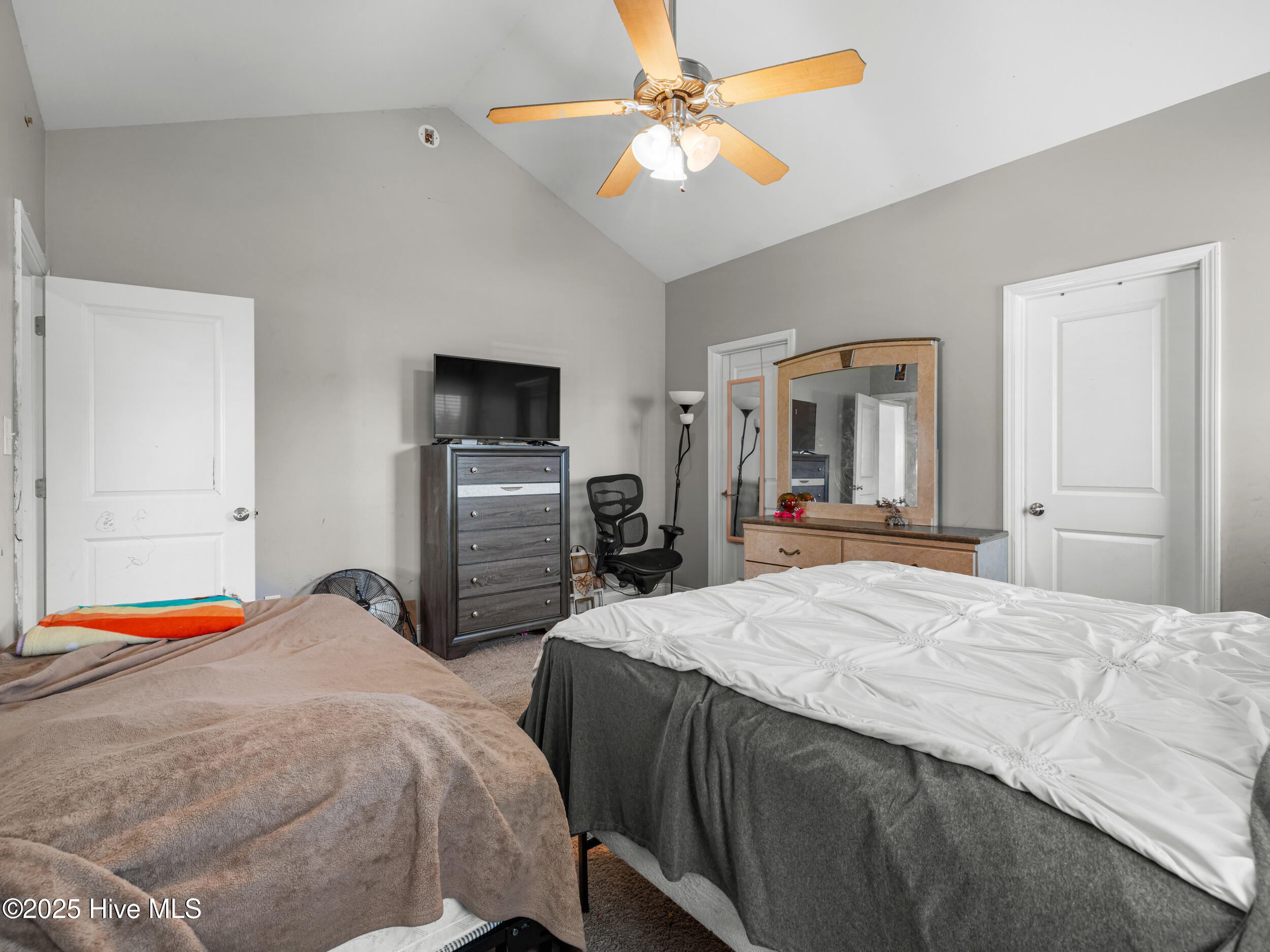 100536146 | Photo 21