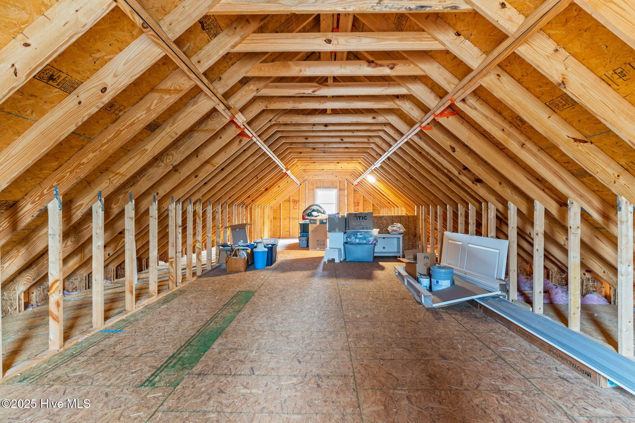 100546923 | Photo 30