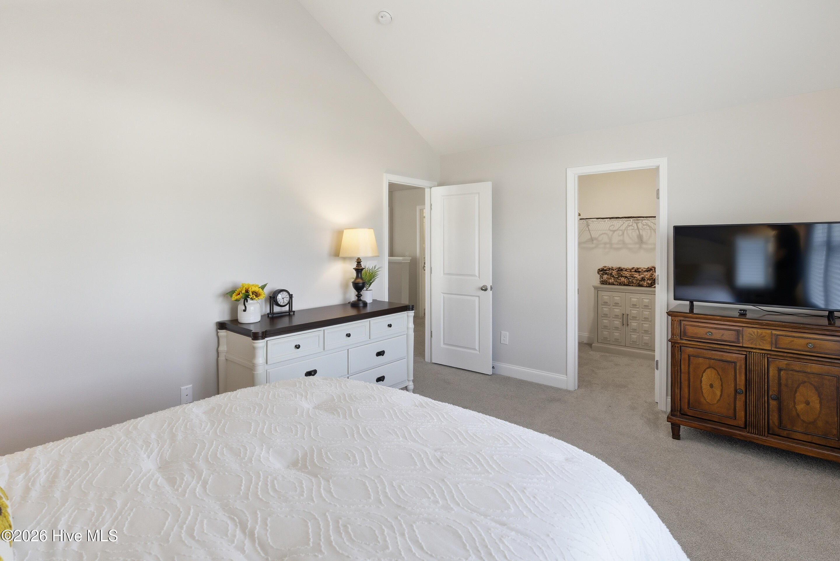 100562920 | Photo 30