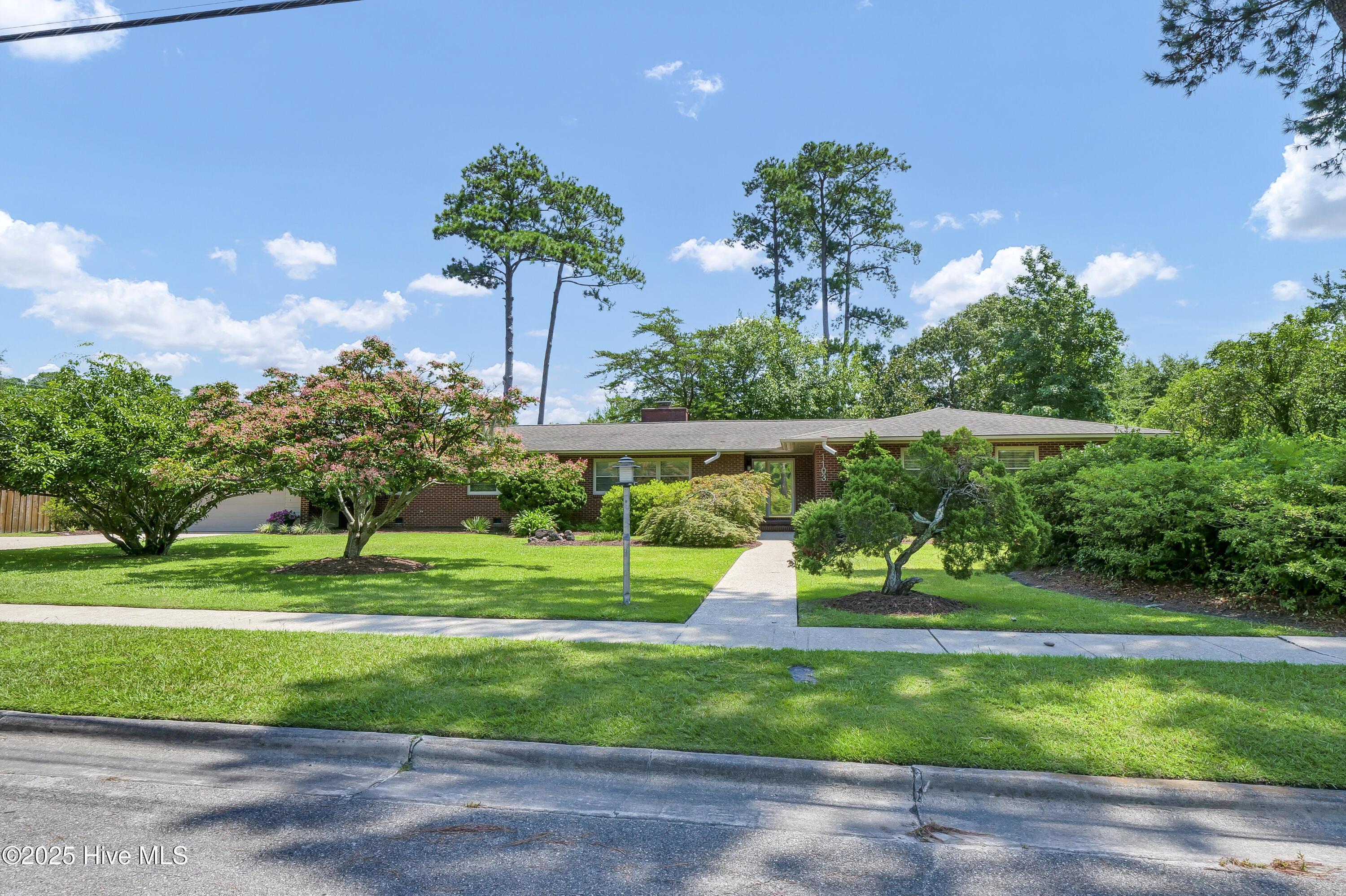 100522690 | Photo 46