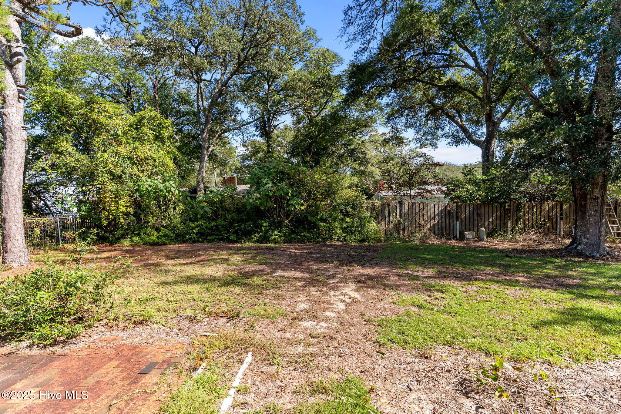 100536302 | Photo 14