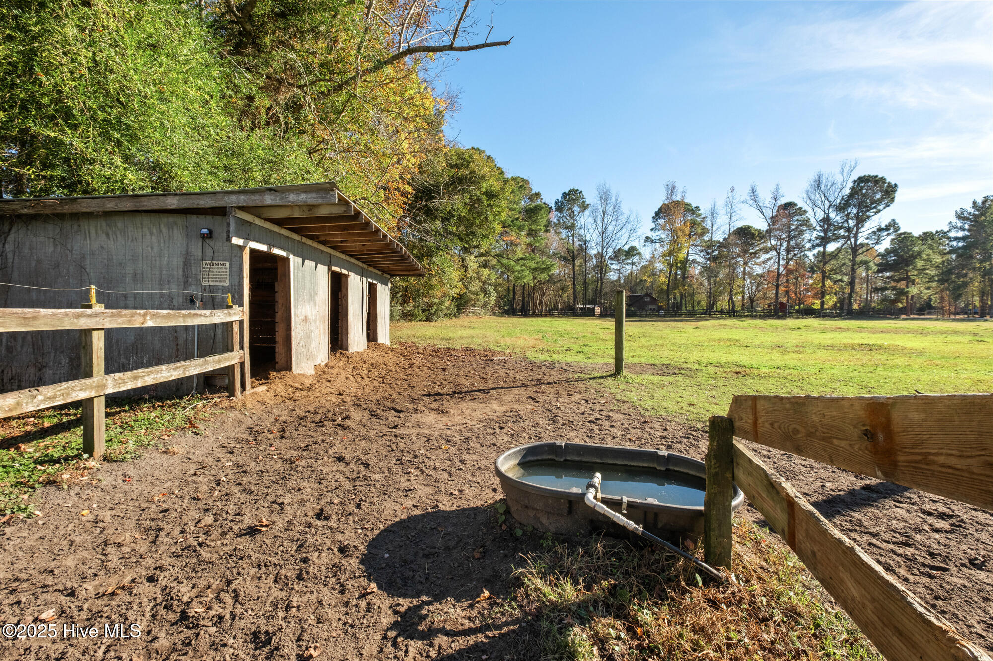 100542459 | Photo 35