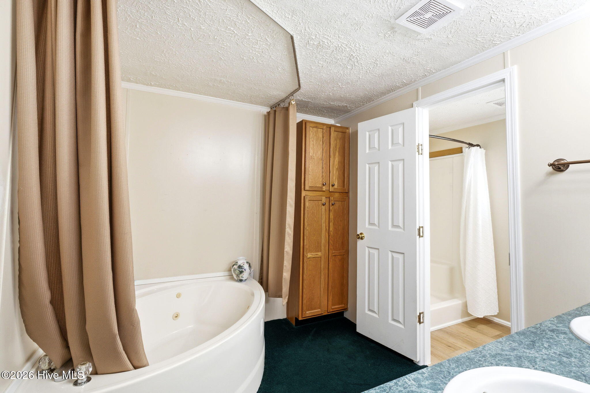 100568157 | Photo 31