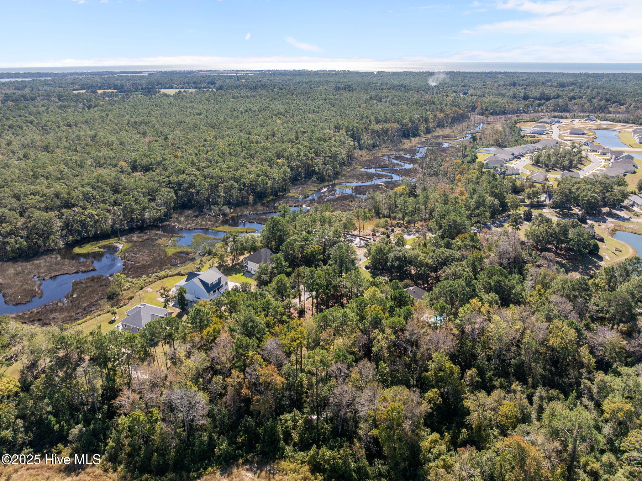 100537620 | Photo 11