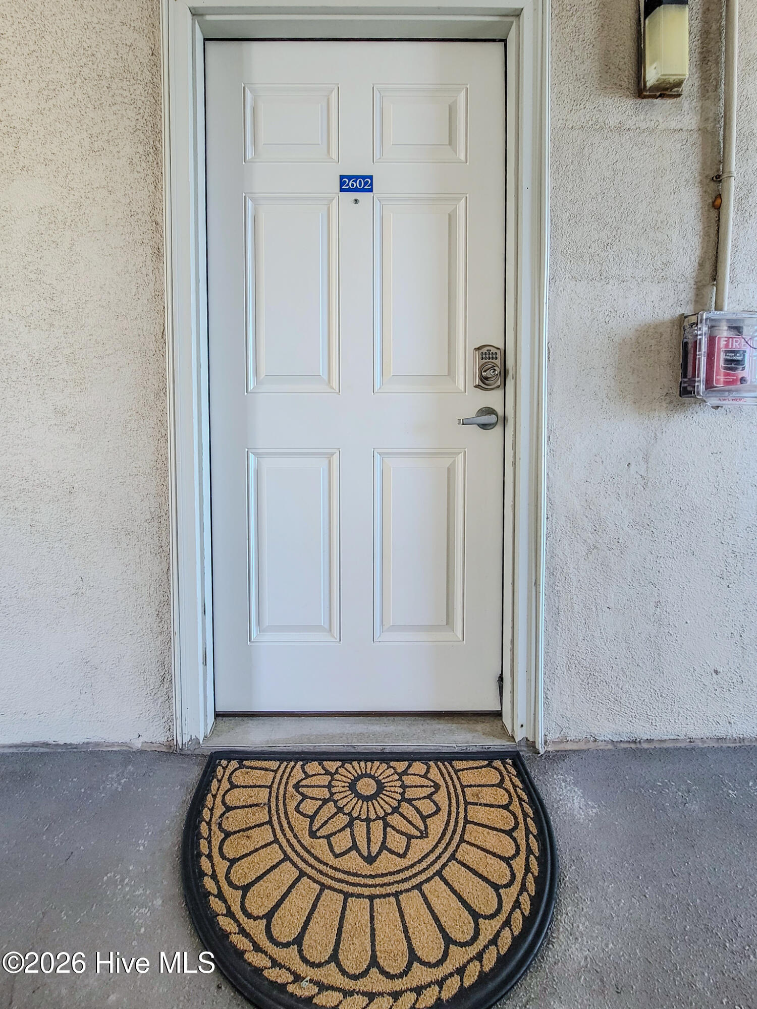 100559074 | Photo 44