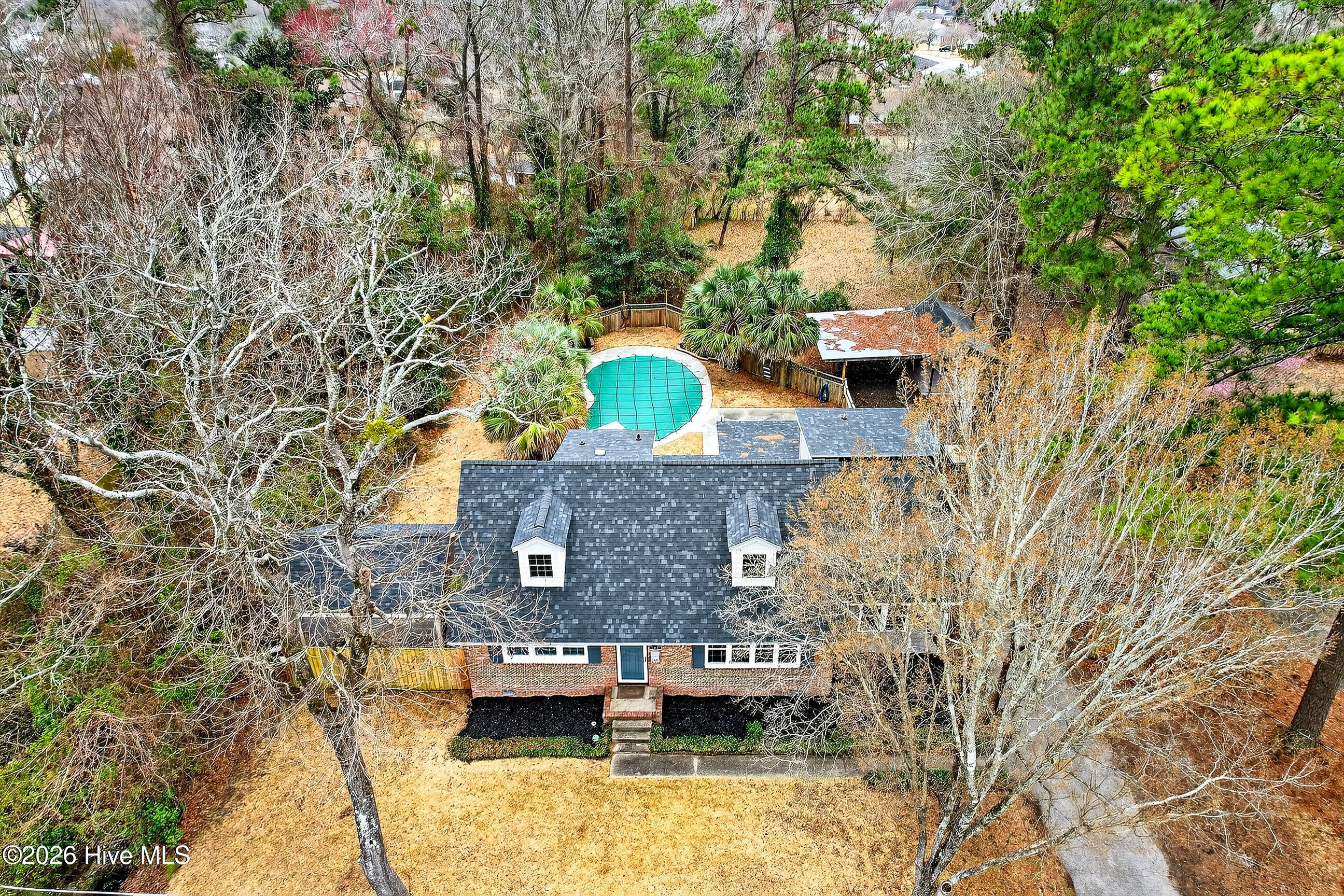 100558512 | Photo 40