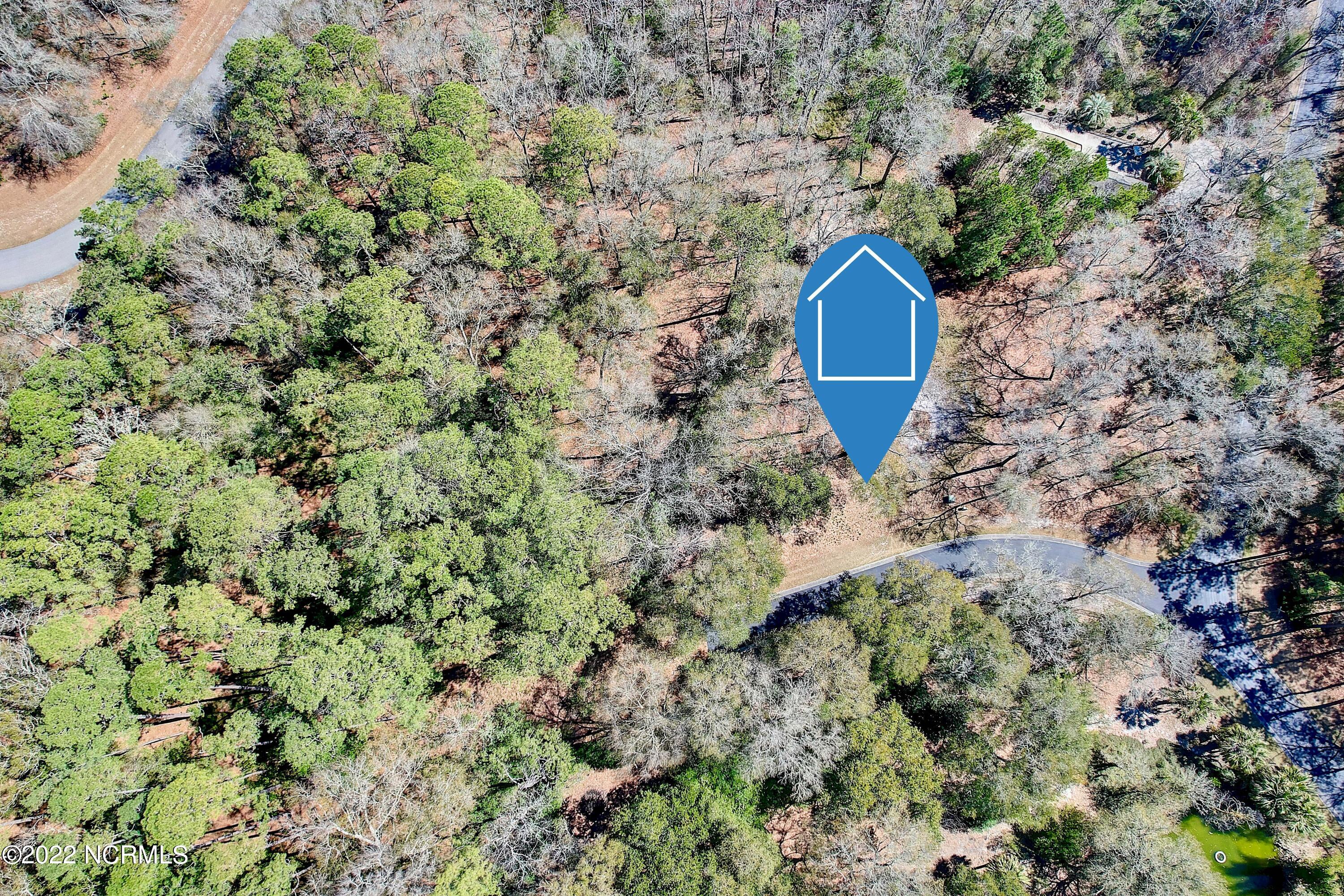 100535126 | Photo 14