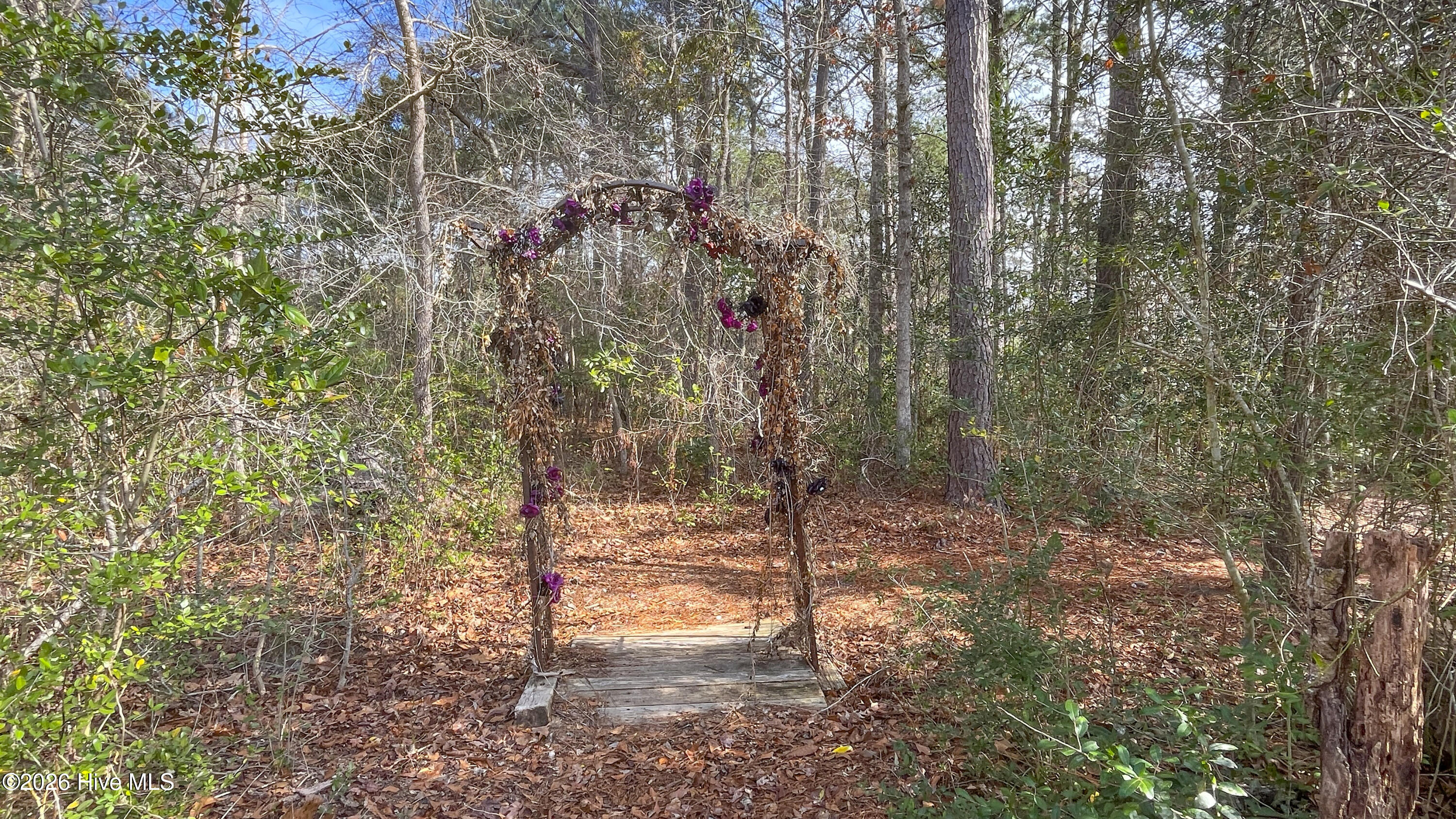 100557904 | Photo 32