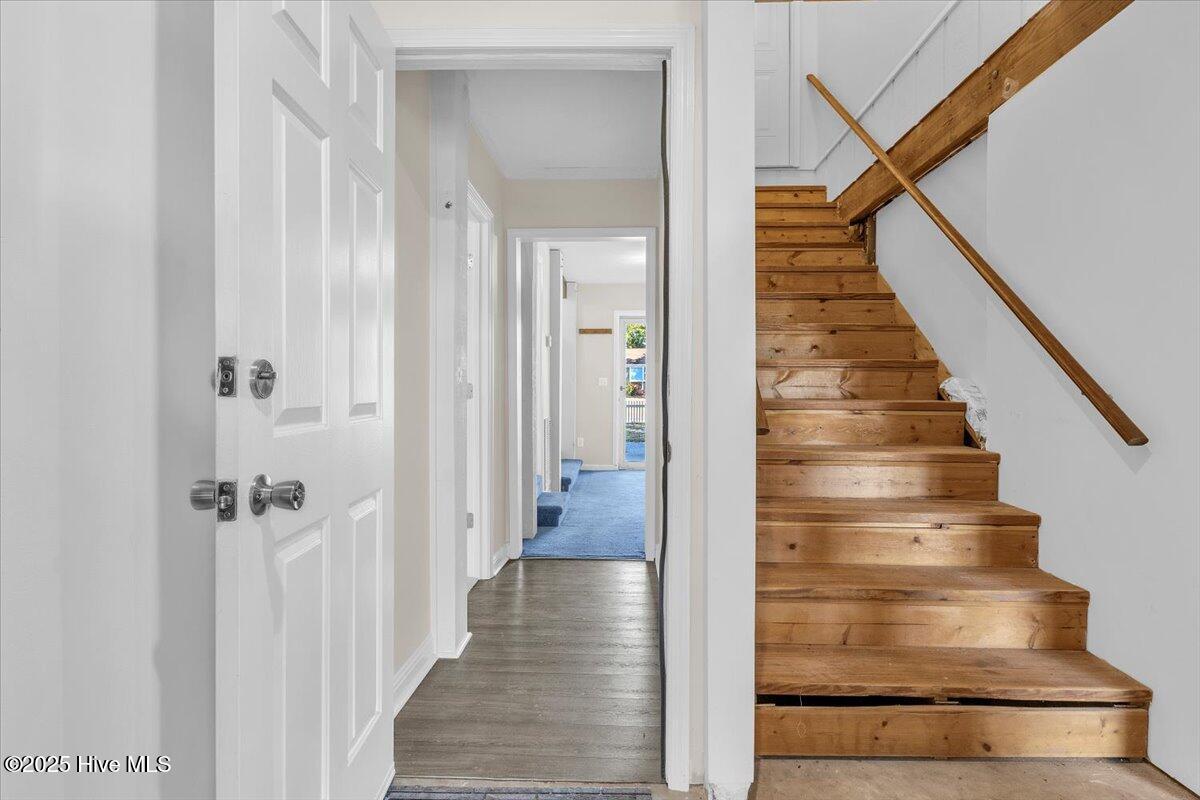 100539108 | Photo 31