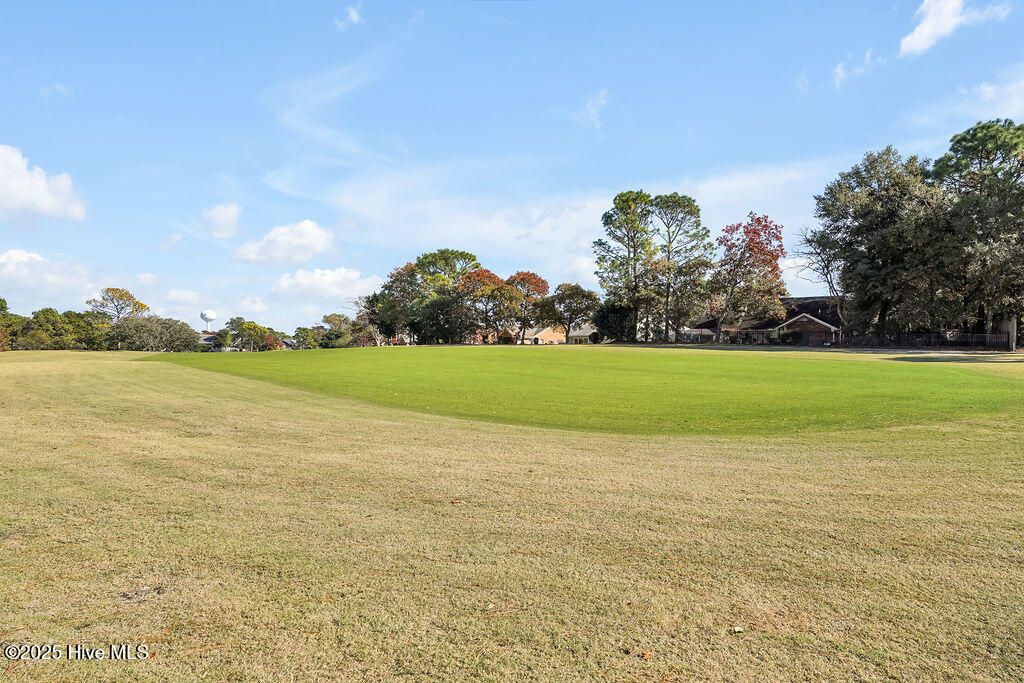 100541437 | Photo 42