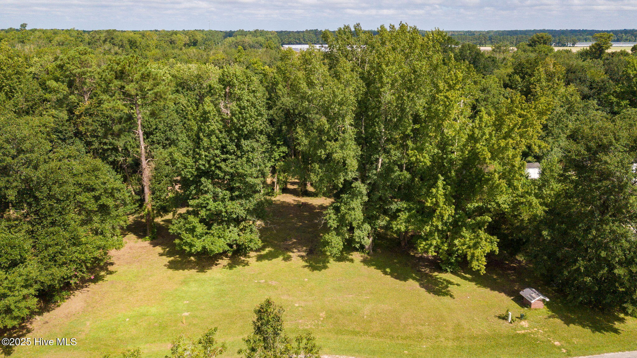 100524642 | Photo 17