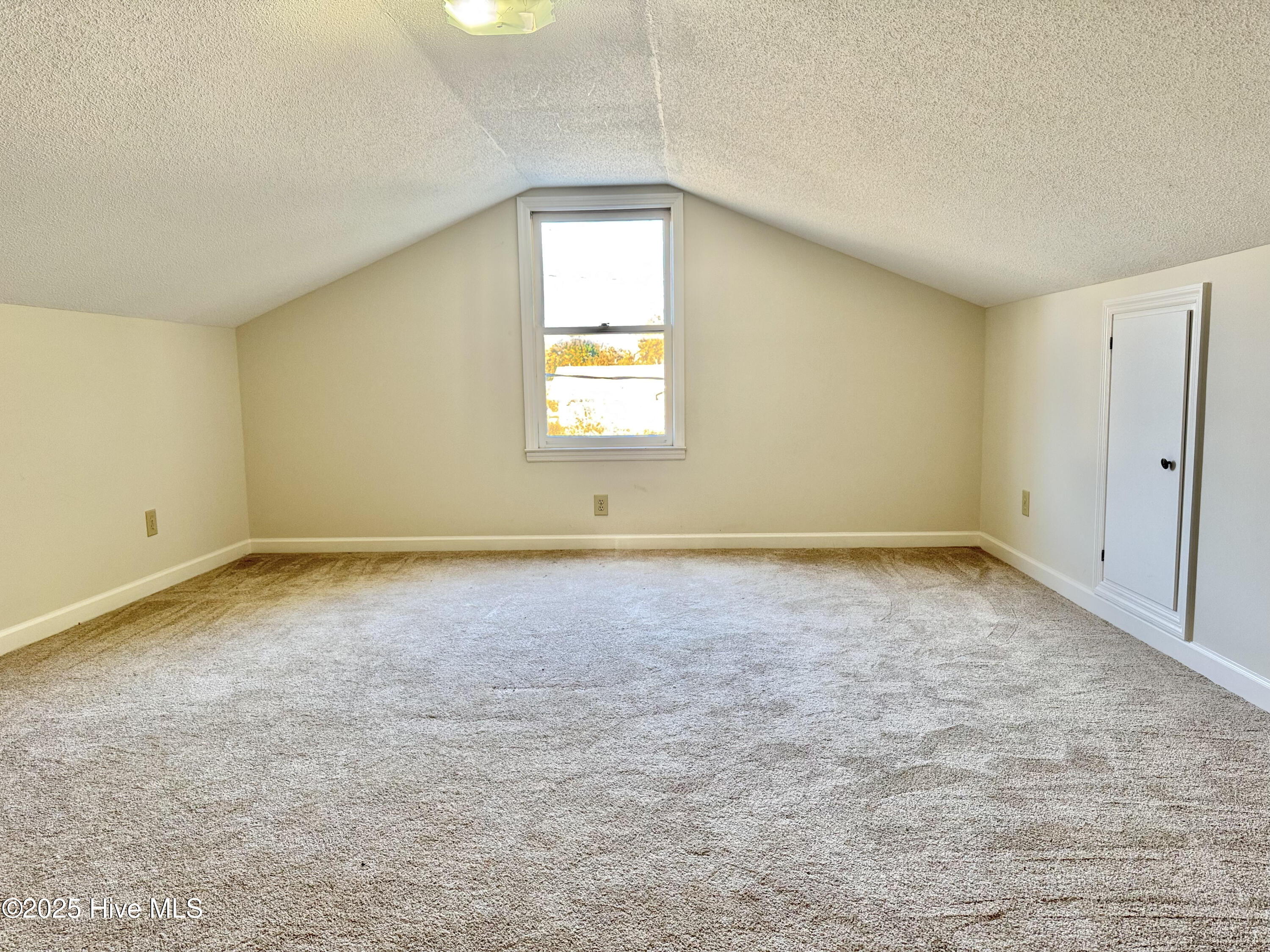 100541752 | Photo 14