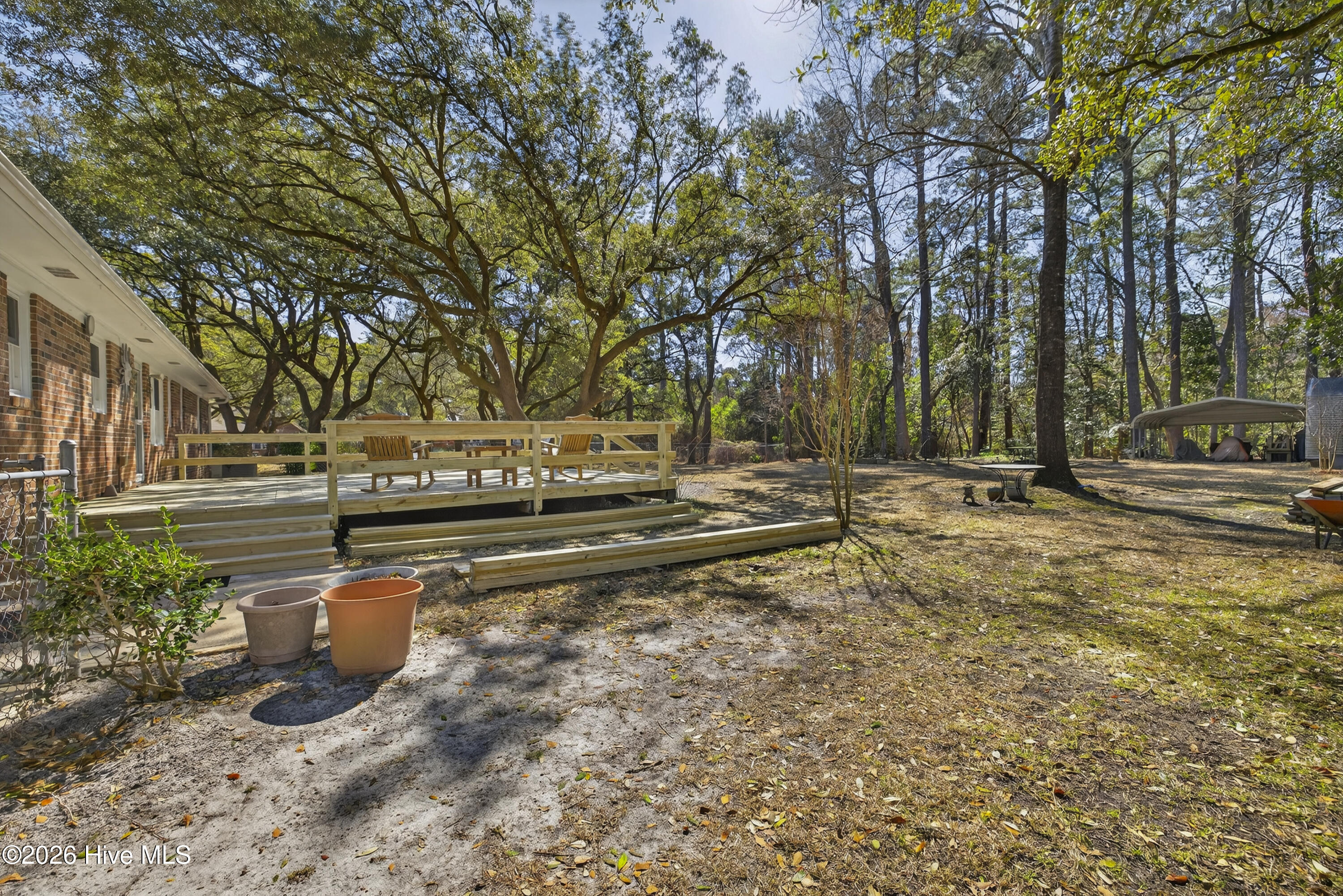 100556651 | Photo 33