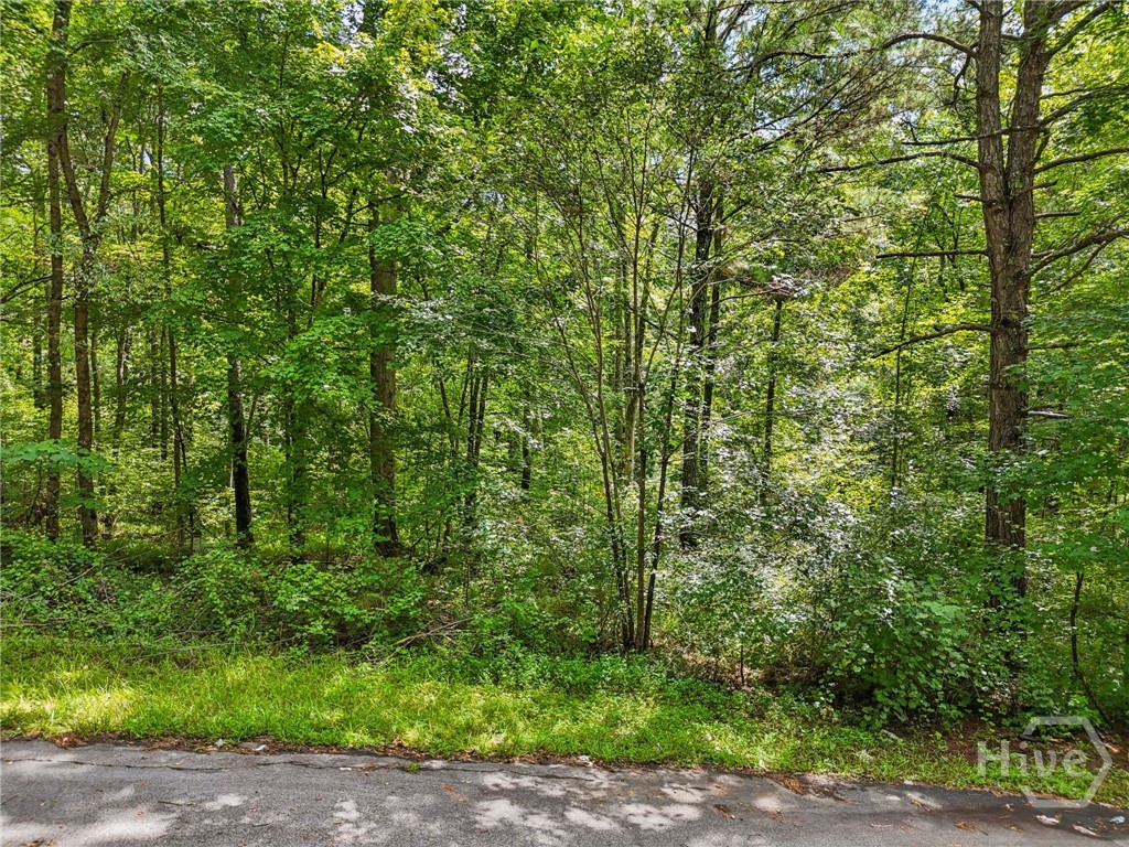 Homes for sale in Greensboro, GA | 1040 Union Station Rd, Greensboro, GA 30642 | MLS# CL336680