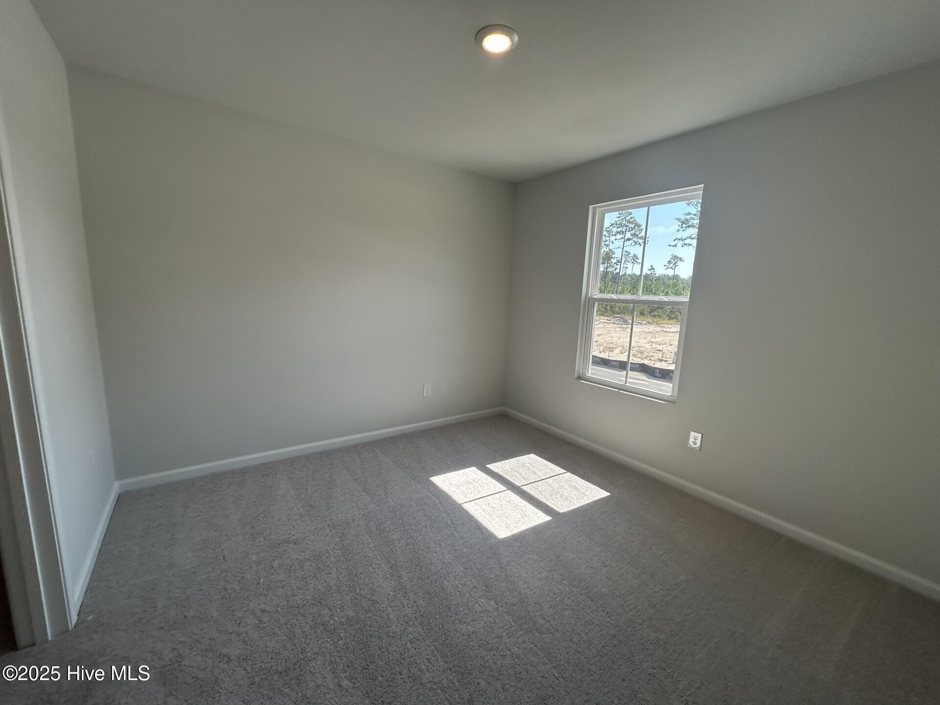 100525039 | Photo 17