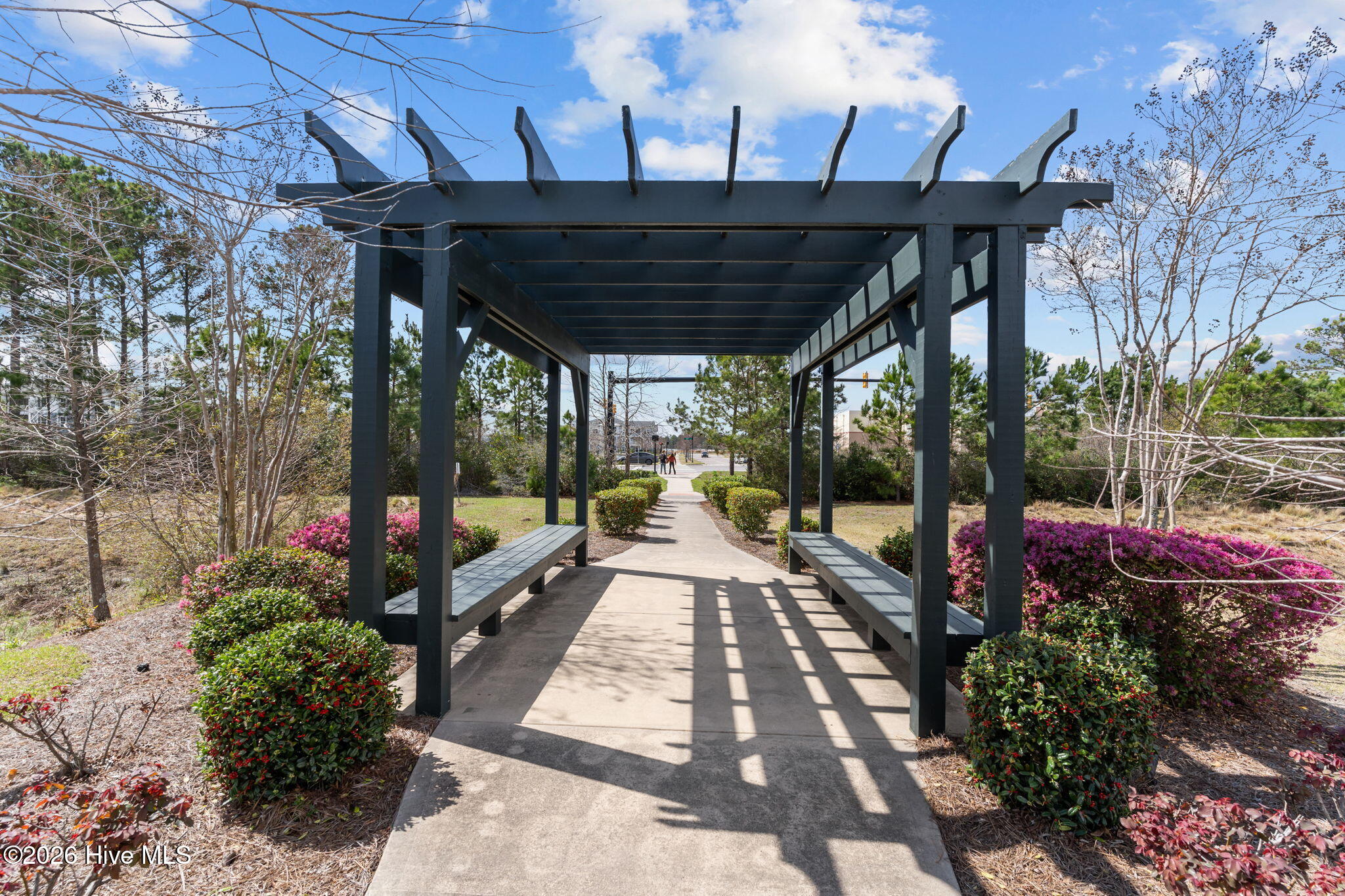 100560533 | Photo 39