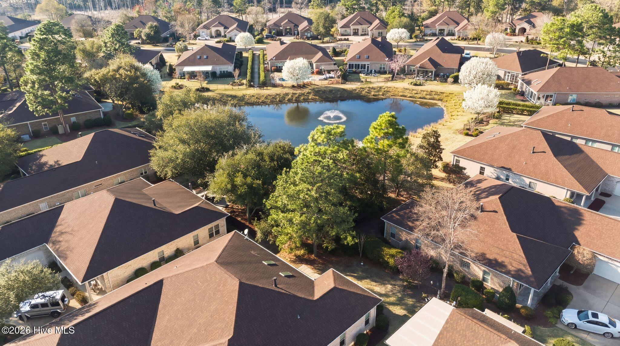 100559645 | Photo 54