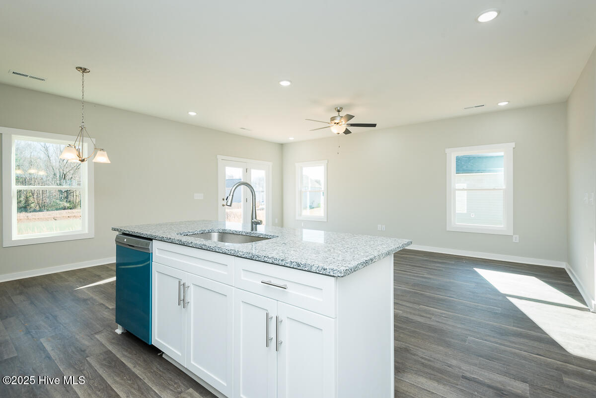 114 Chester Place, Pikeville, NC, 27863