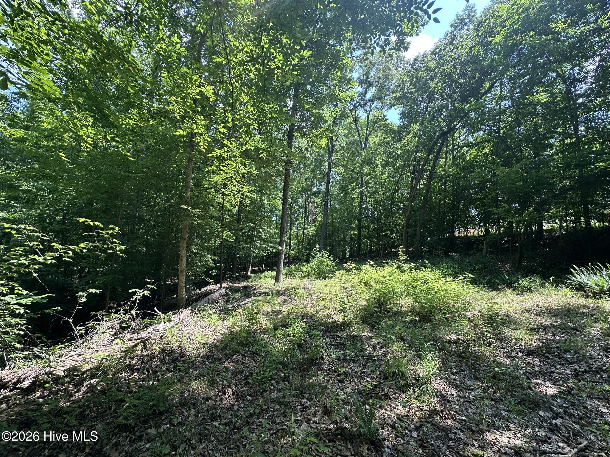 Previously cleared homesite at back of property