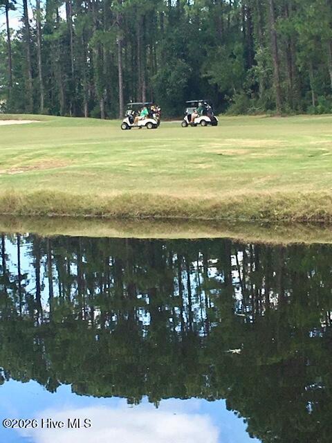 100567437 | Photo 33