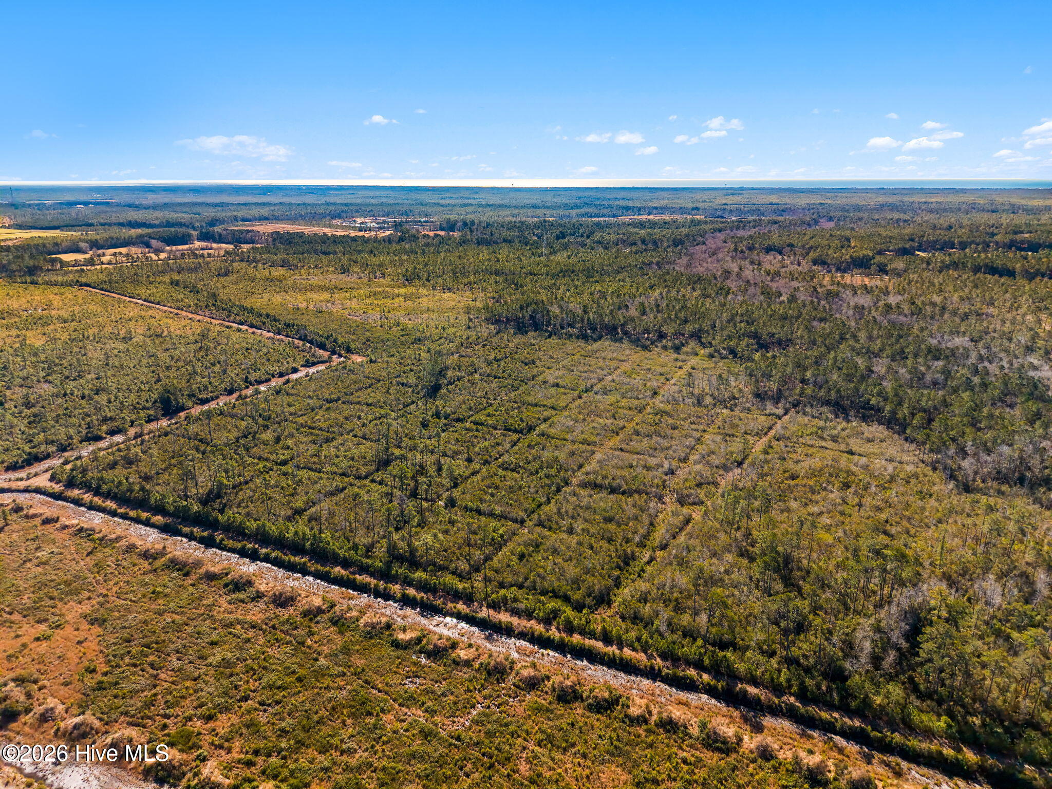 100555013 | Photo 26