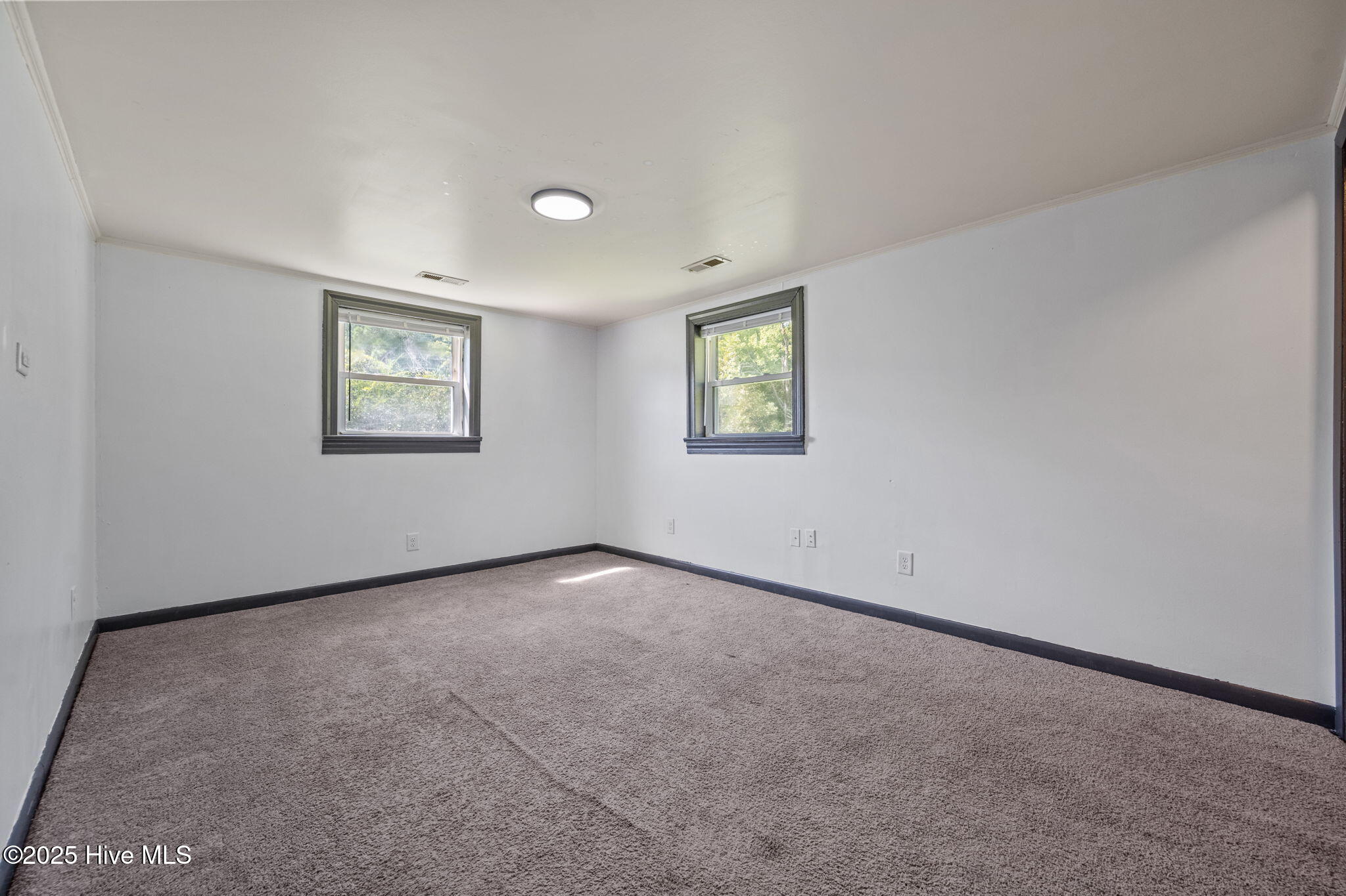 100534081 | Photo 20