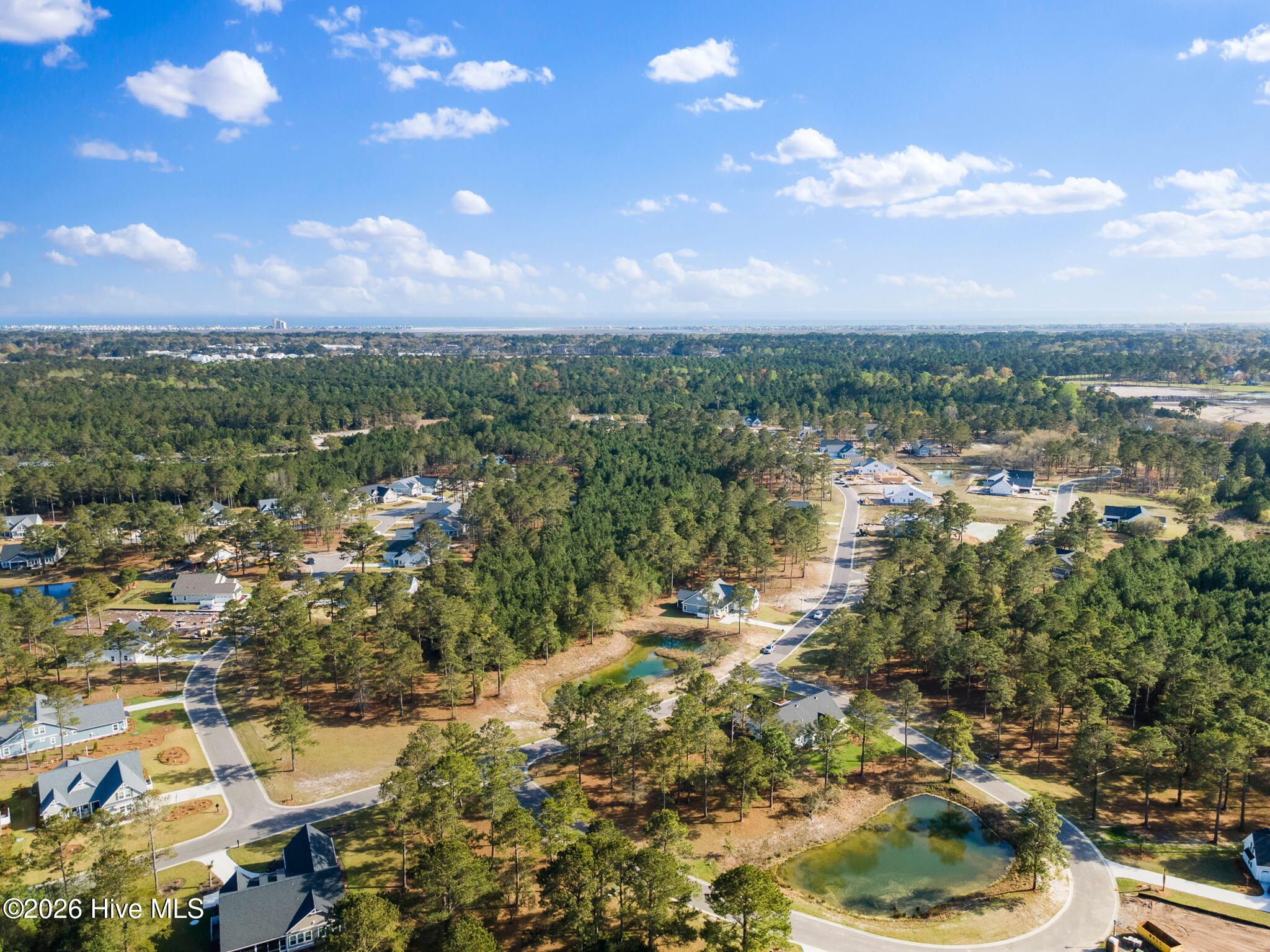 100563065 | Photo 12