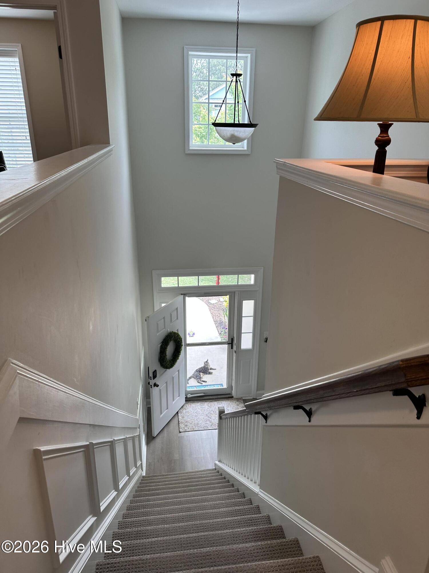 100563138 | Photo 14