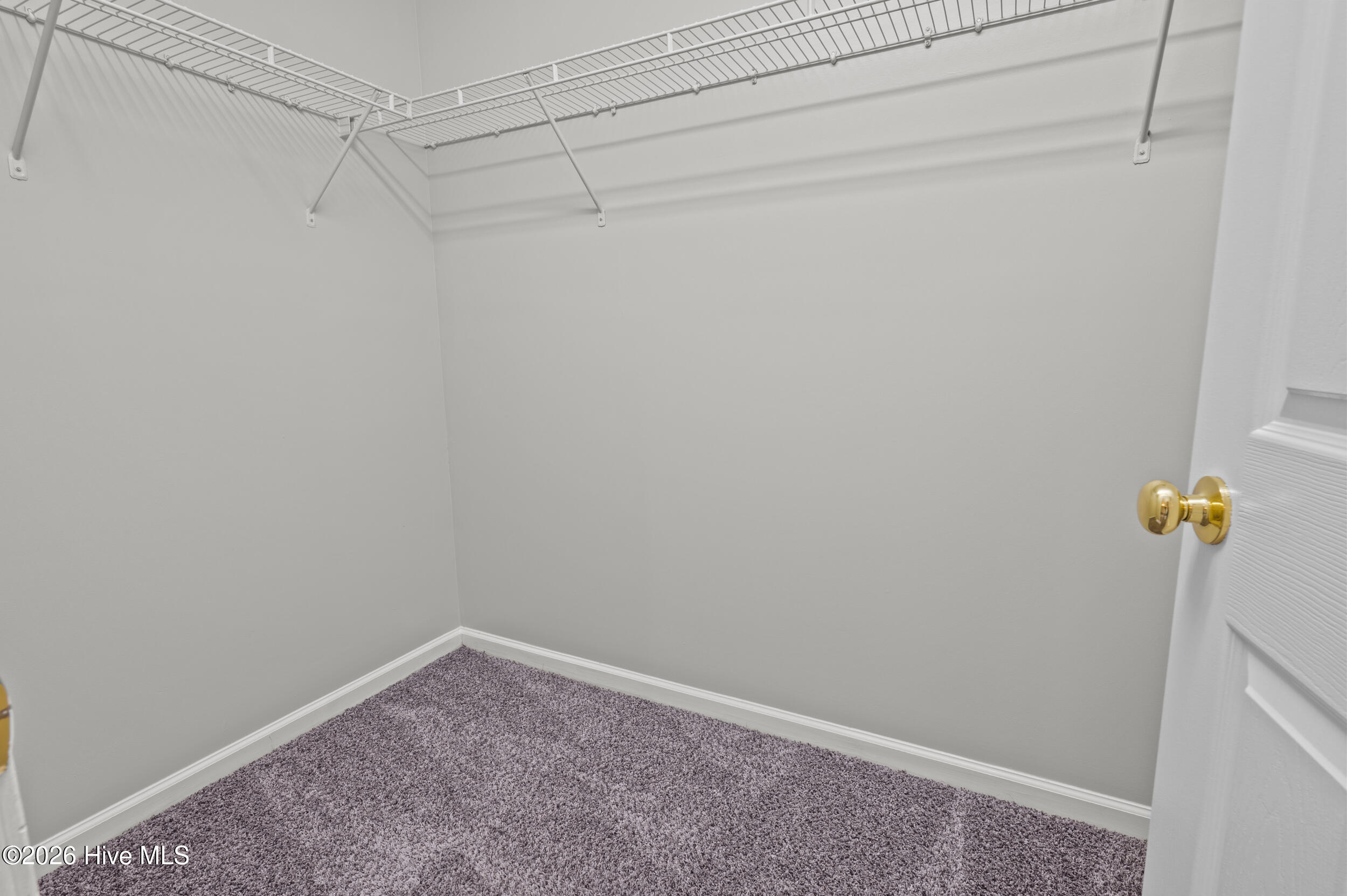 100562956 | Photo 29