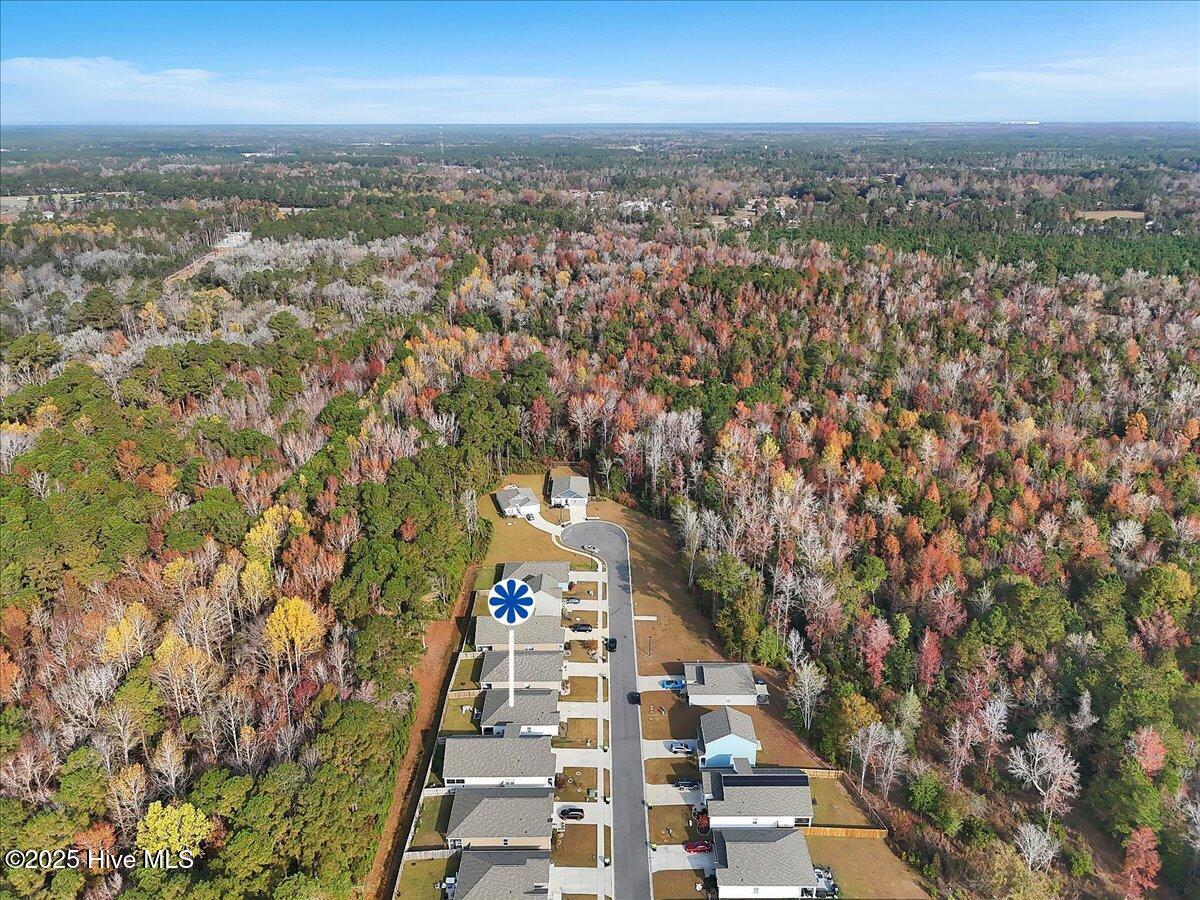 100543041 | Photo 38