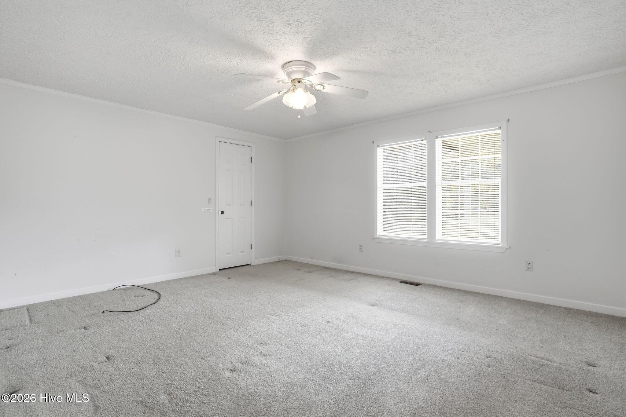 100556115 | Photo 59