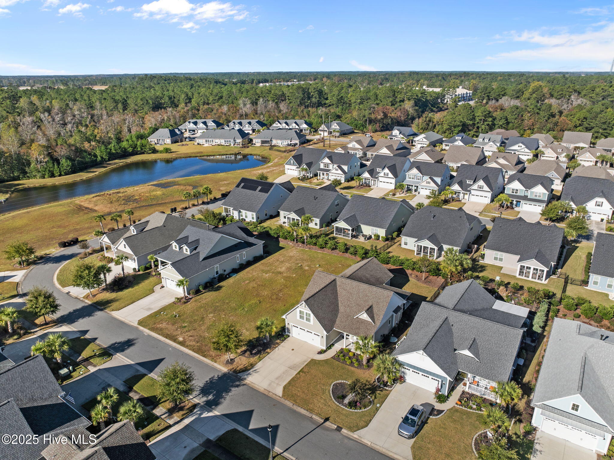 100537659 | Photo 54