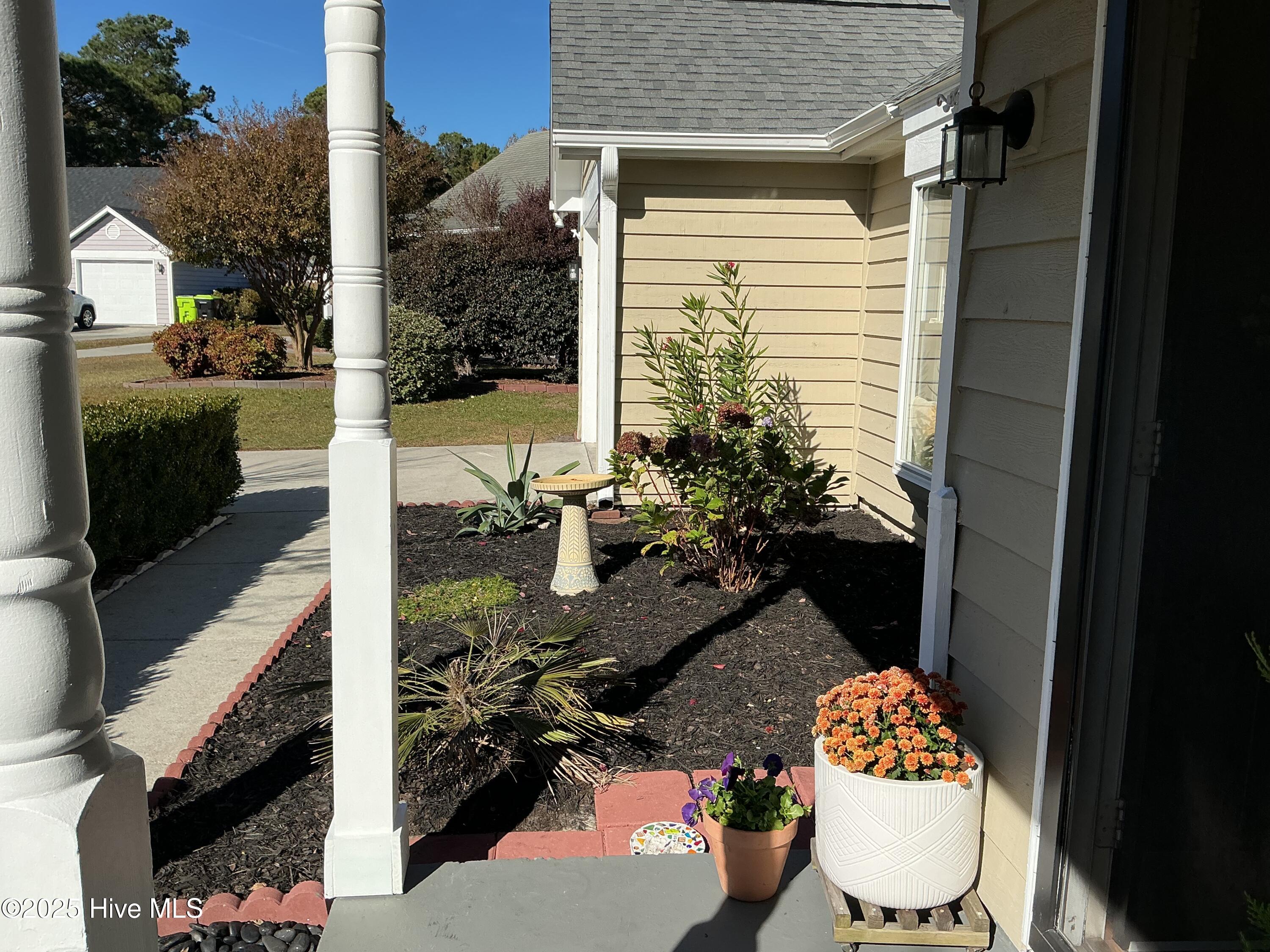 100540003 | Photo 10