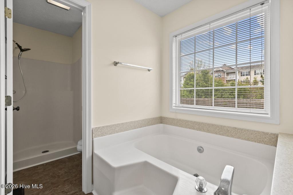 100567126 | Photo 18