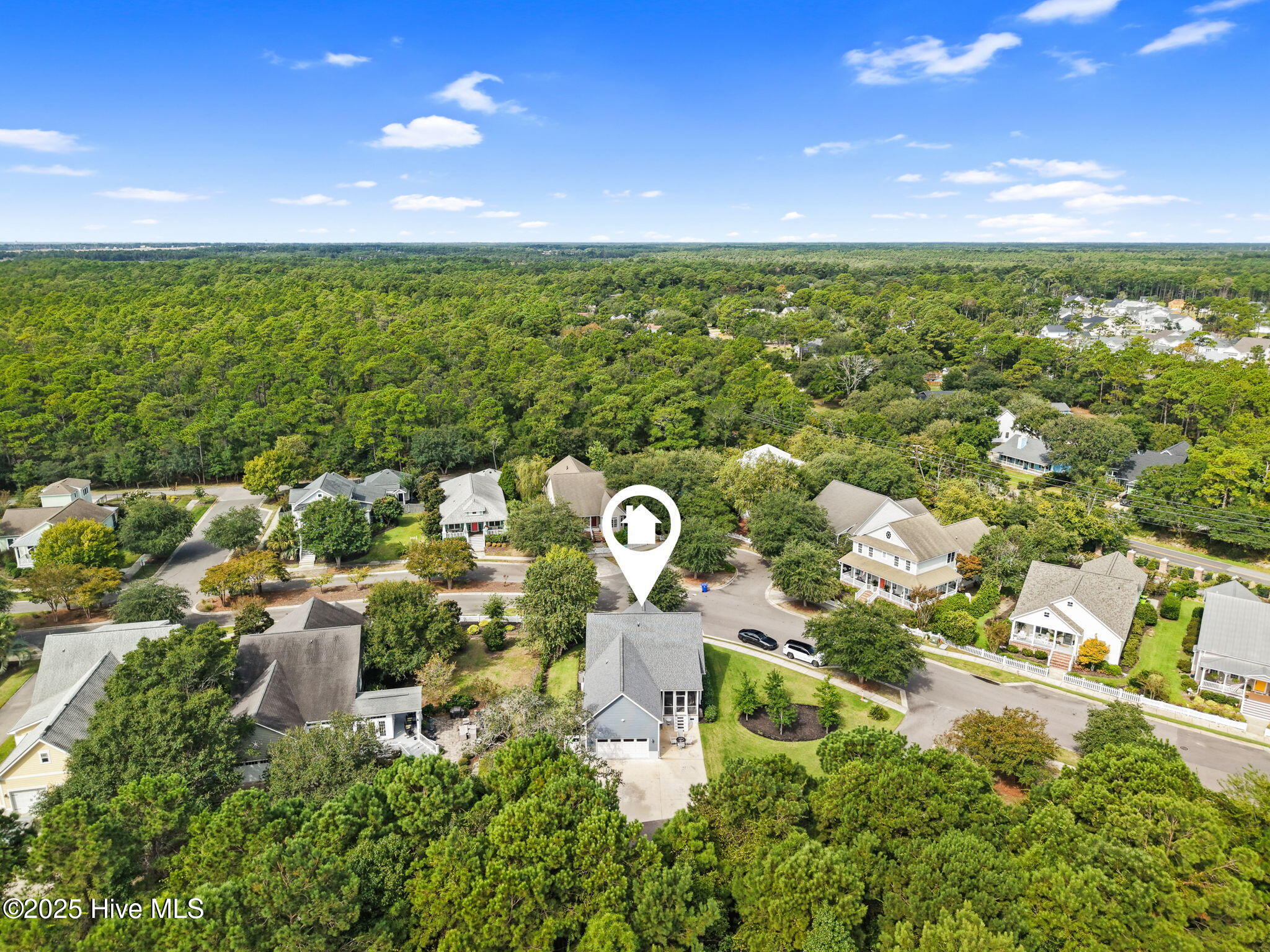 100530227 | Photo 12