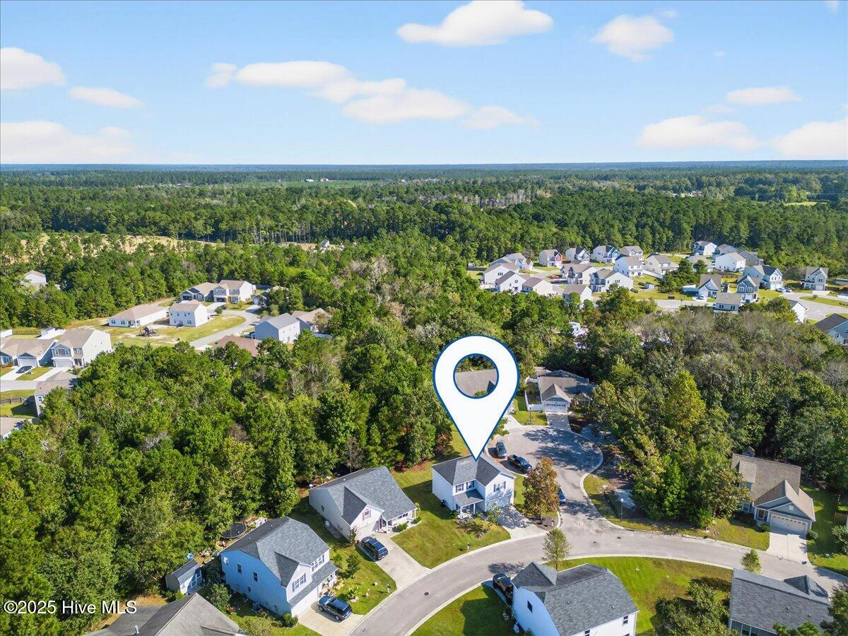 100537745 | Photo 48