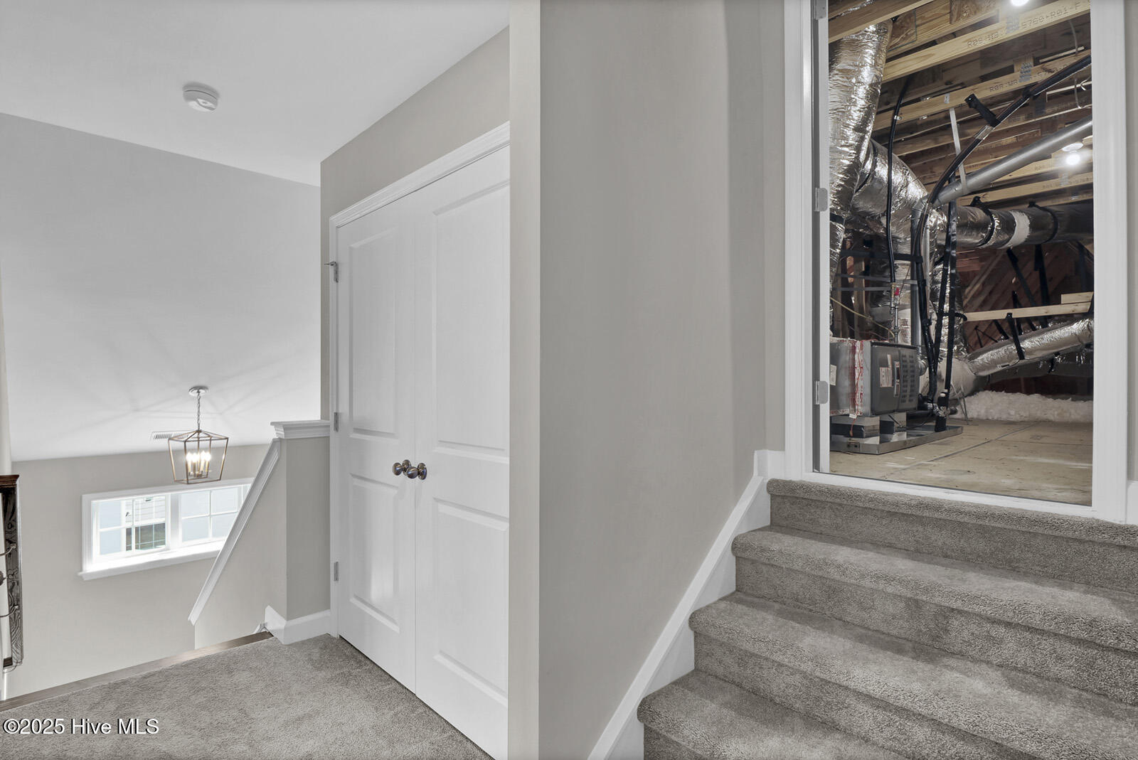 100527693 | Photo 27