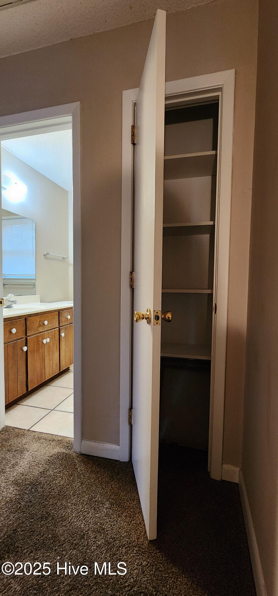 100533797 | Photo 15