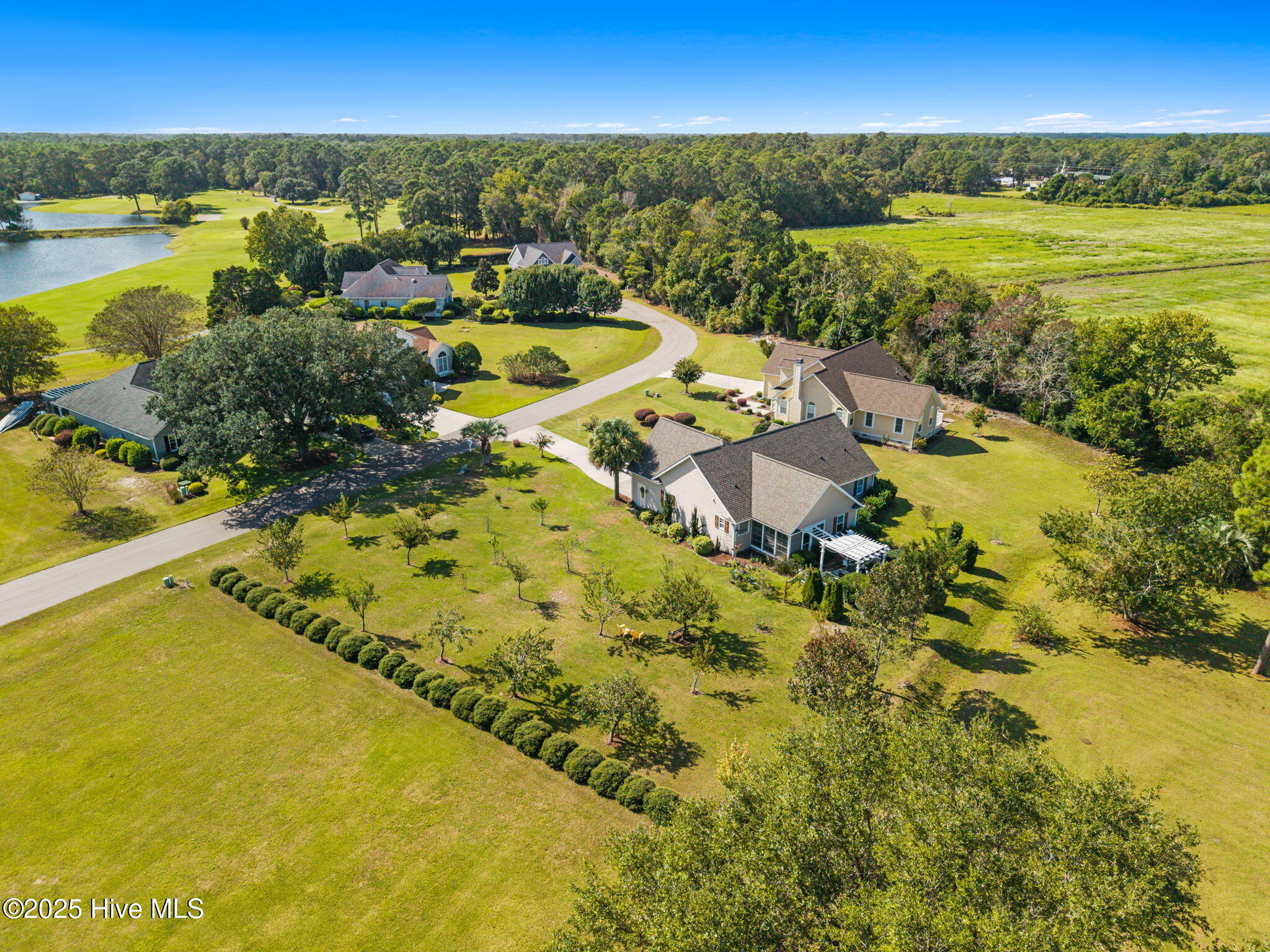 100534396 | Photo 37