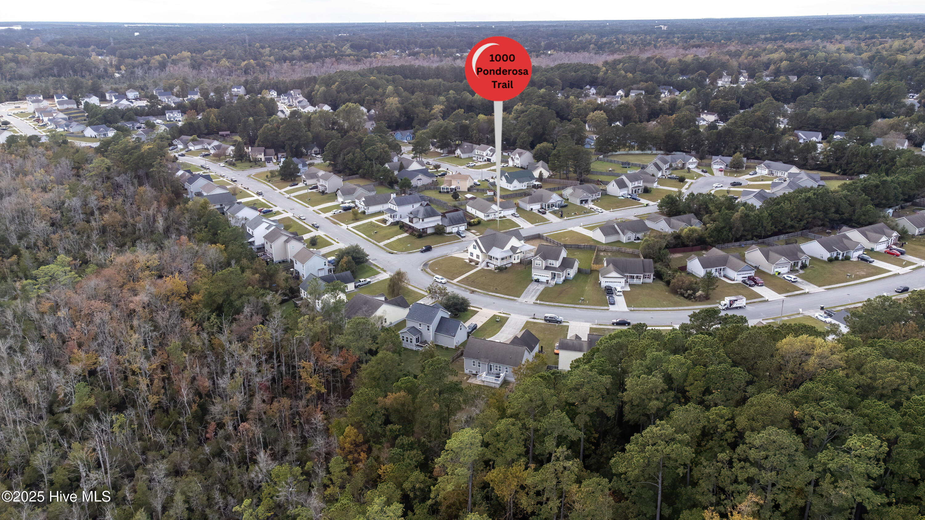 100539008 | Photo 76