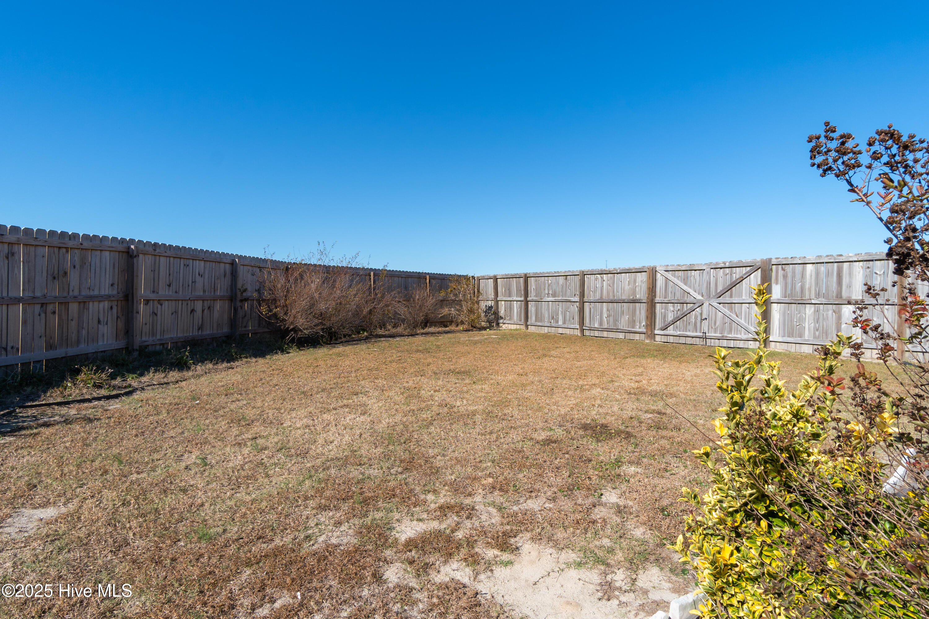 100542382 | Photo 40