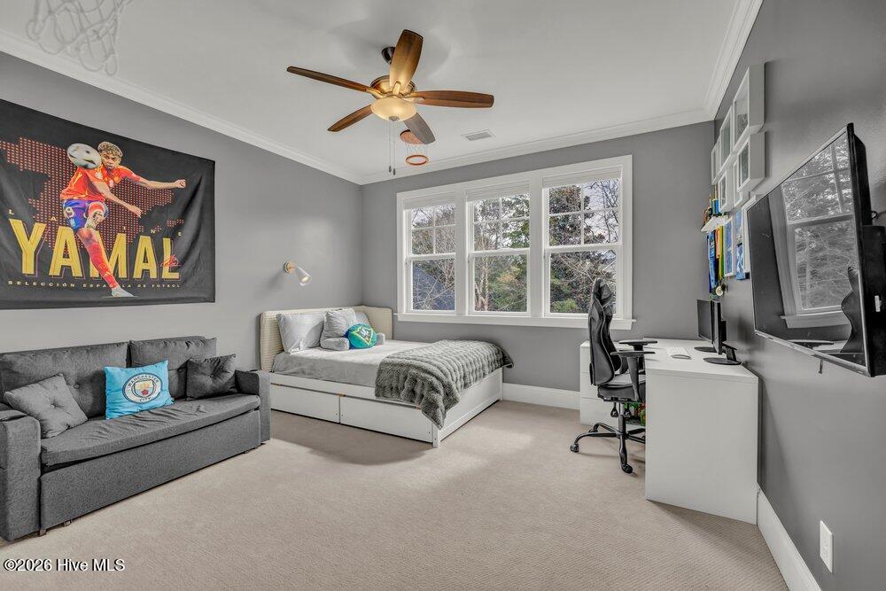 100555857 | Photo 27