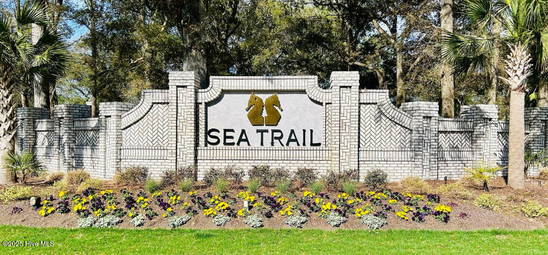 100537931 | Photo 40