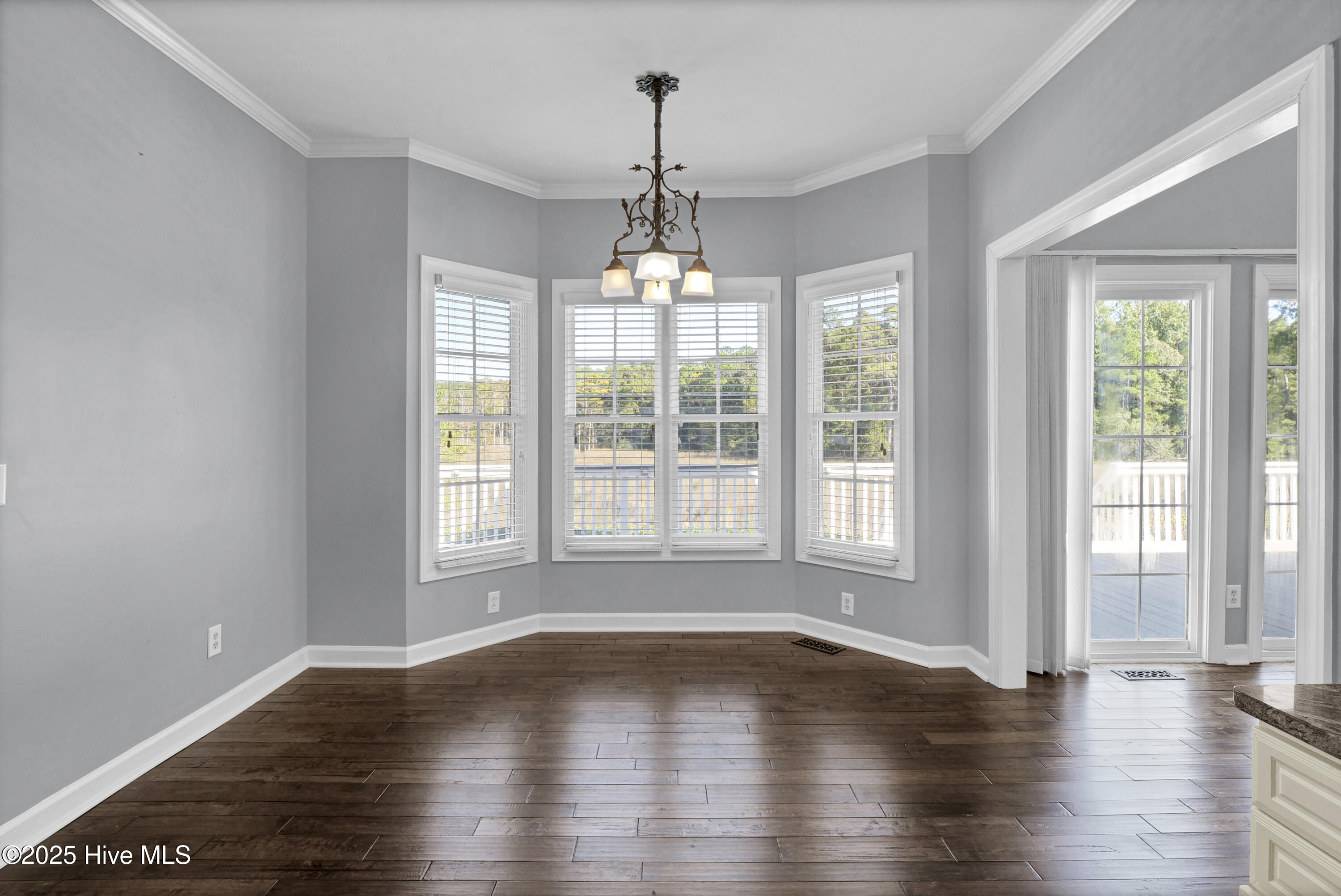 100535458 | Photo 17