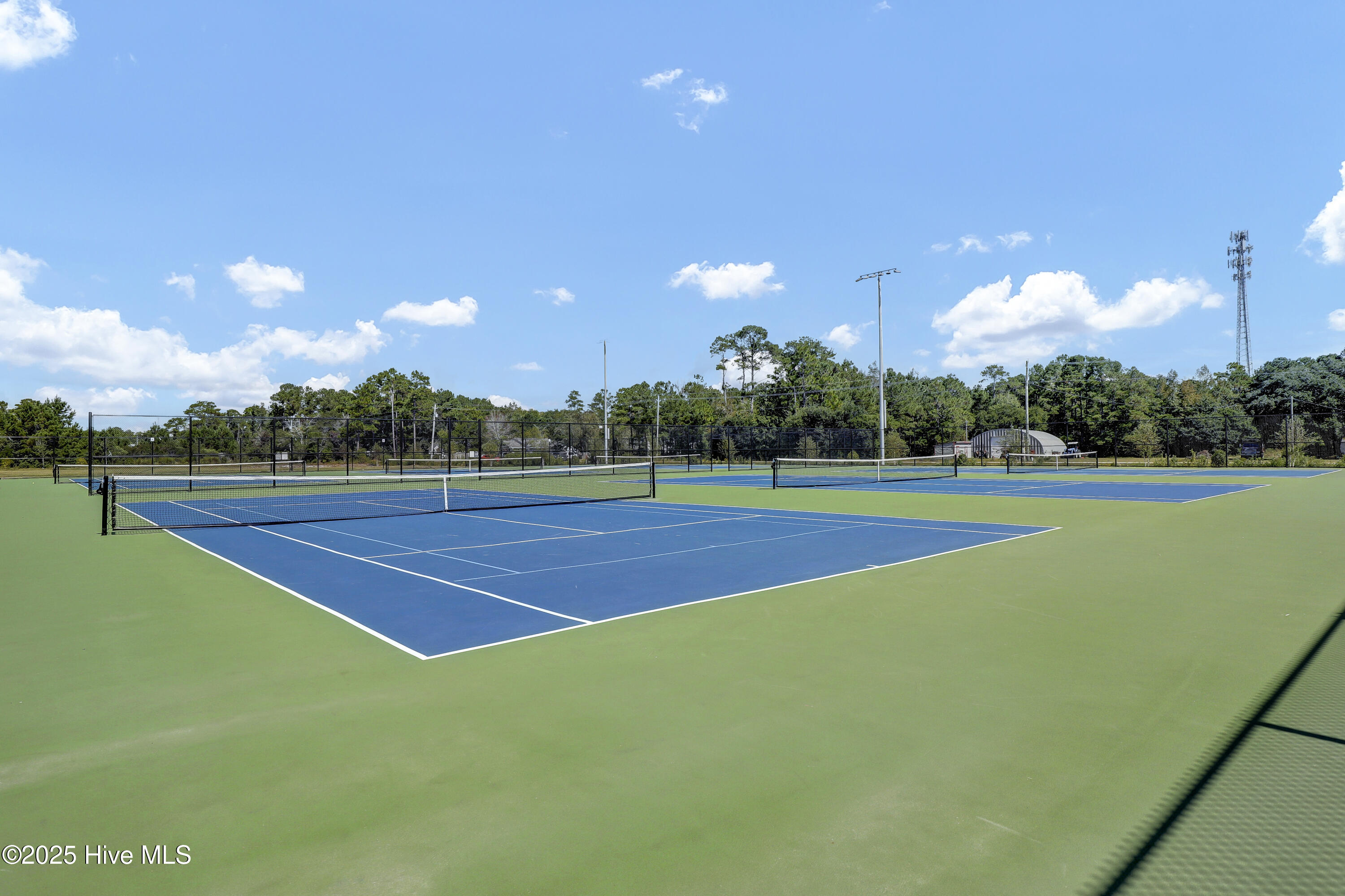 100509859 | Photo 64